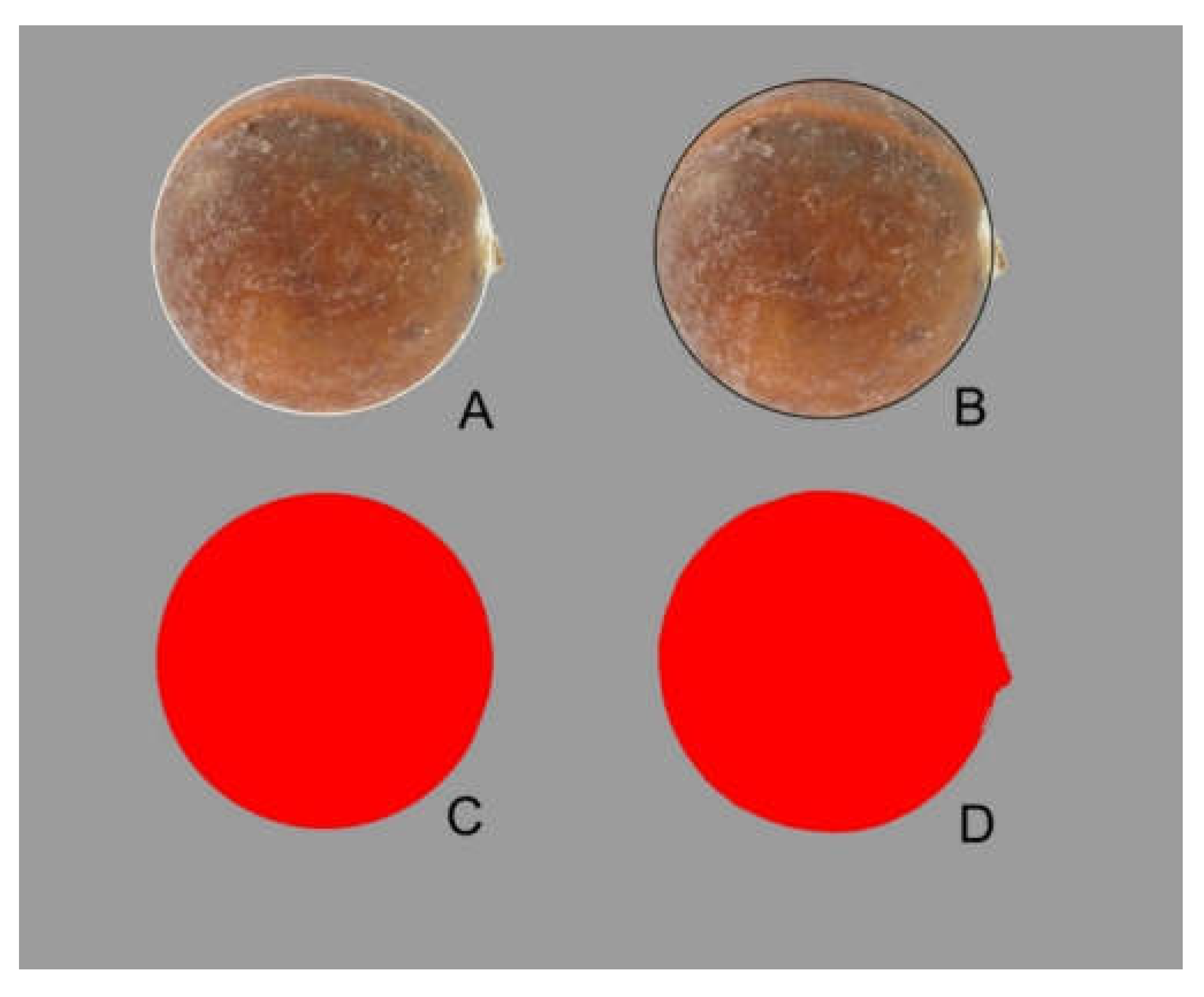 Horticulturae 06 00064 g003