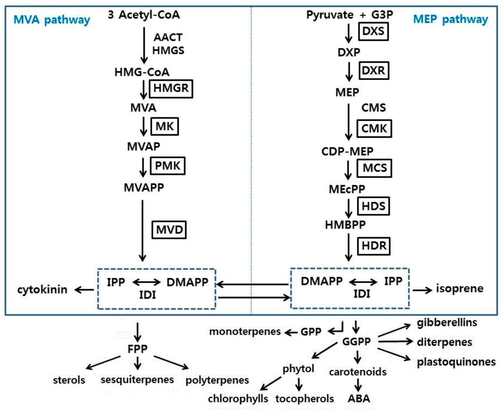 Horticulturae 06 00076 sch001