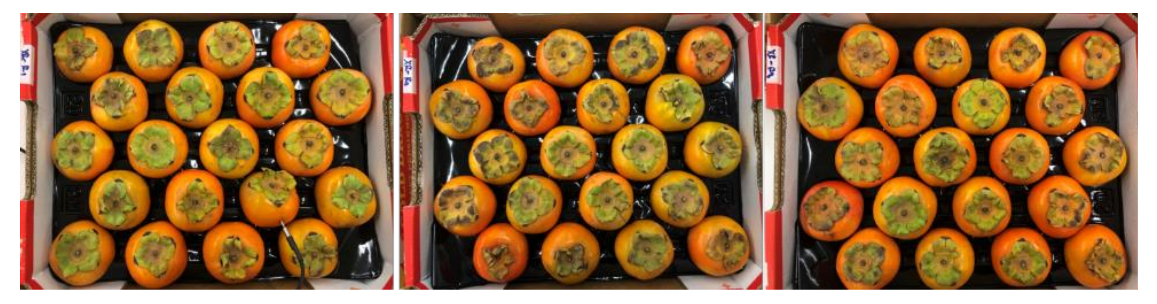 Horticulturae 06 00092 g002b