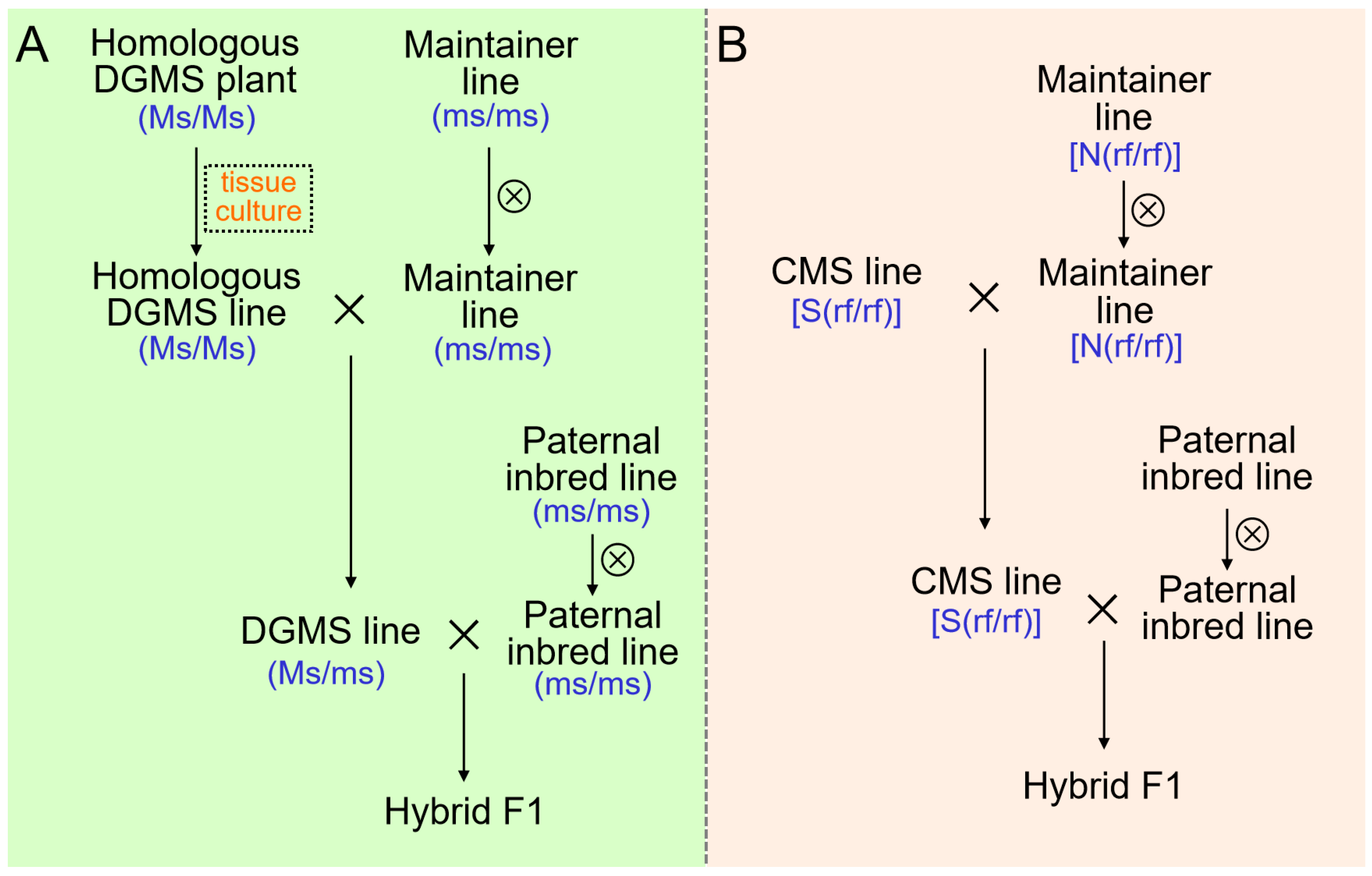 Horticulturae 06 00101 g001