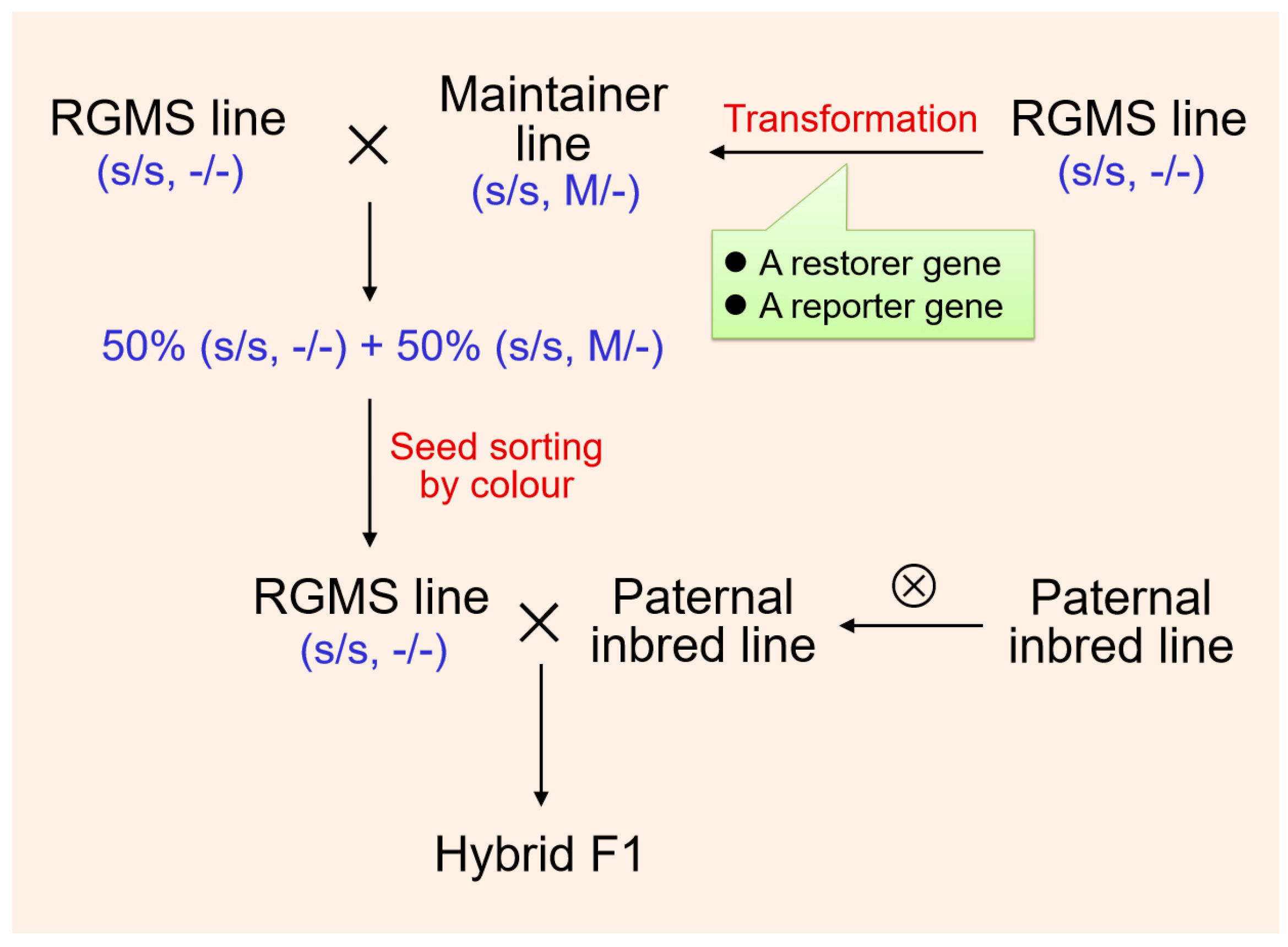 Horticulturae 06 00101 g002