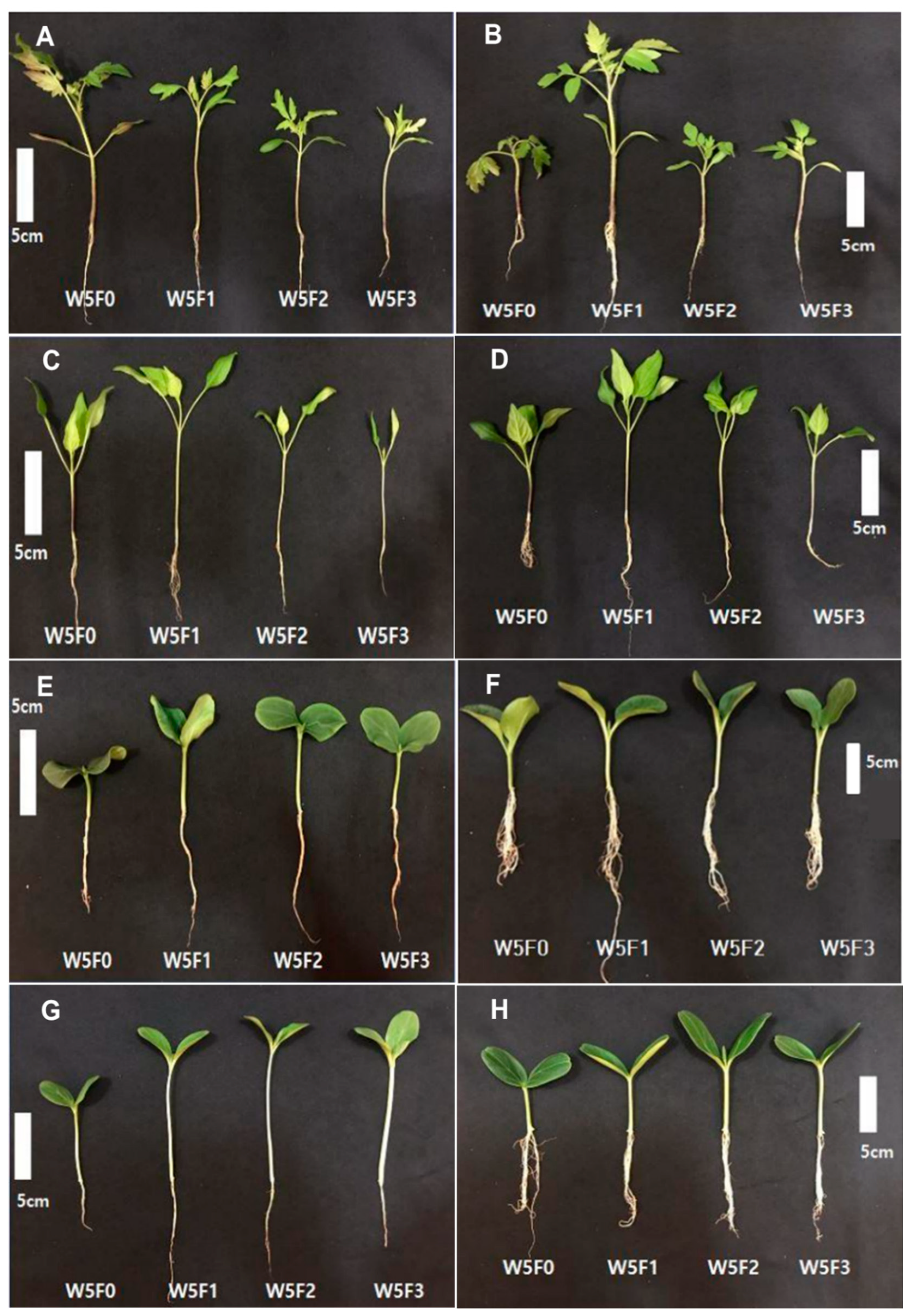 Horticulturae 06 00109 g002 Horticulturae 06 00109 g002