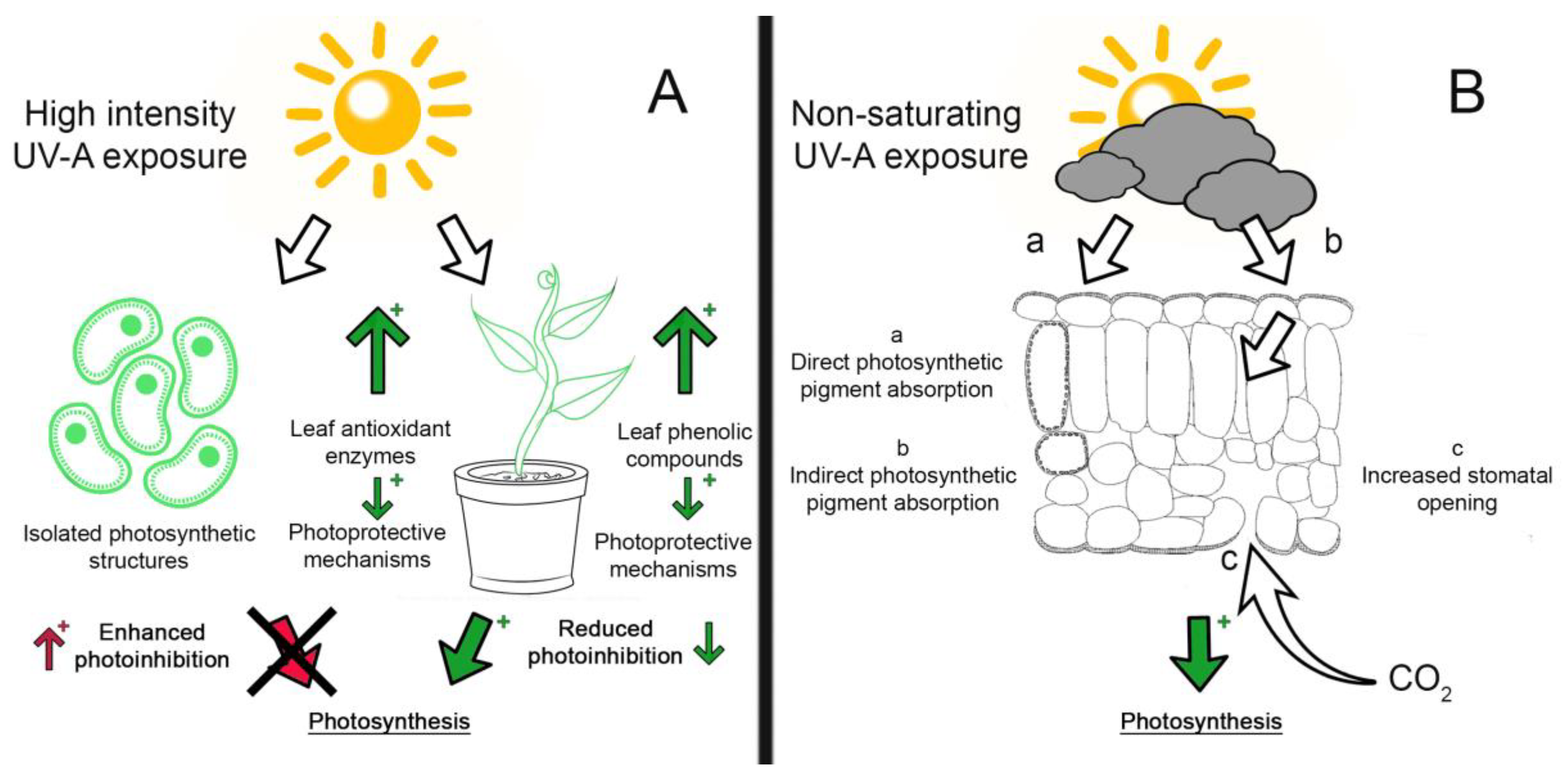 Horticulturae 07 00009 g001