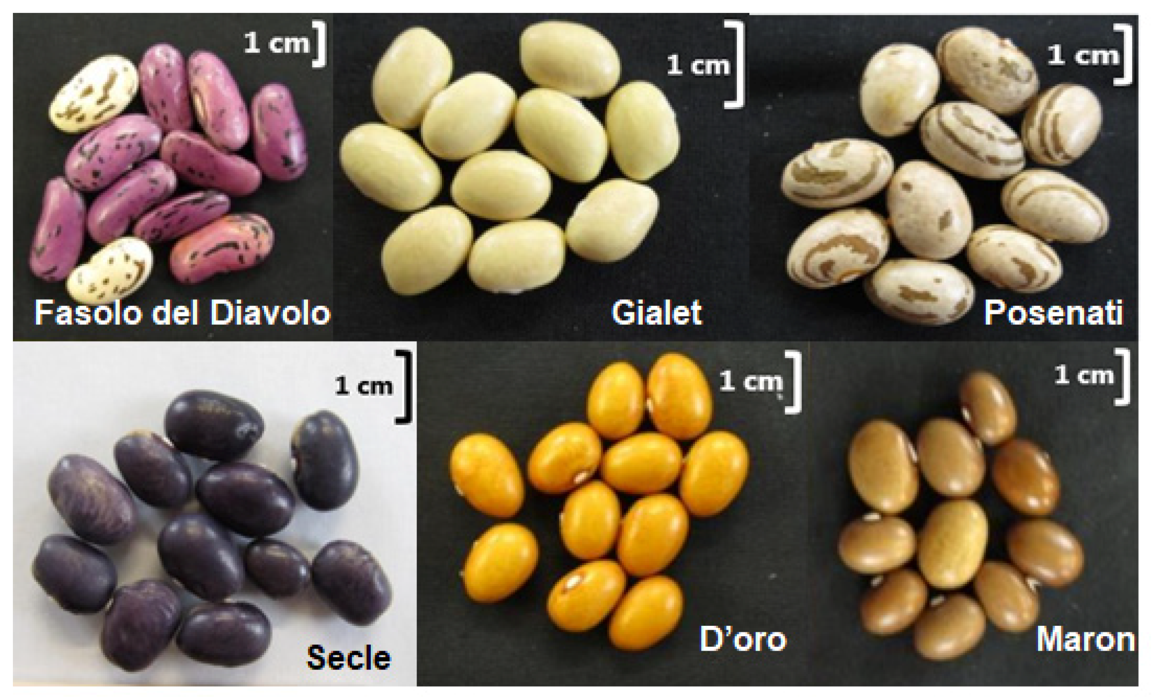 Horticulturae 07 00017 g001