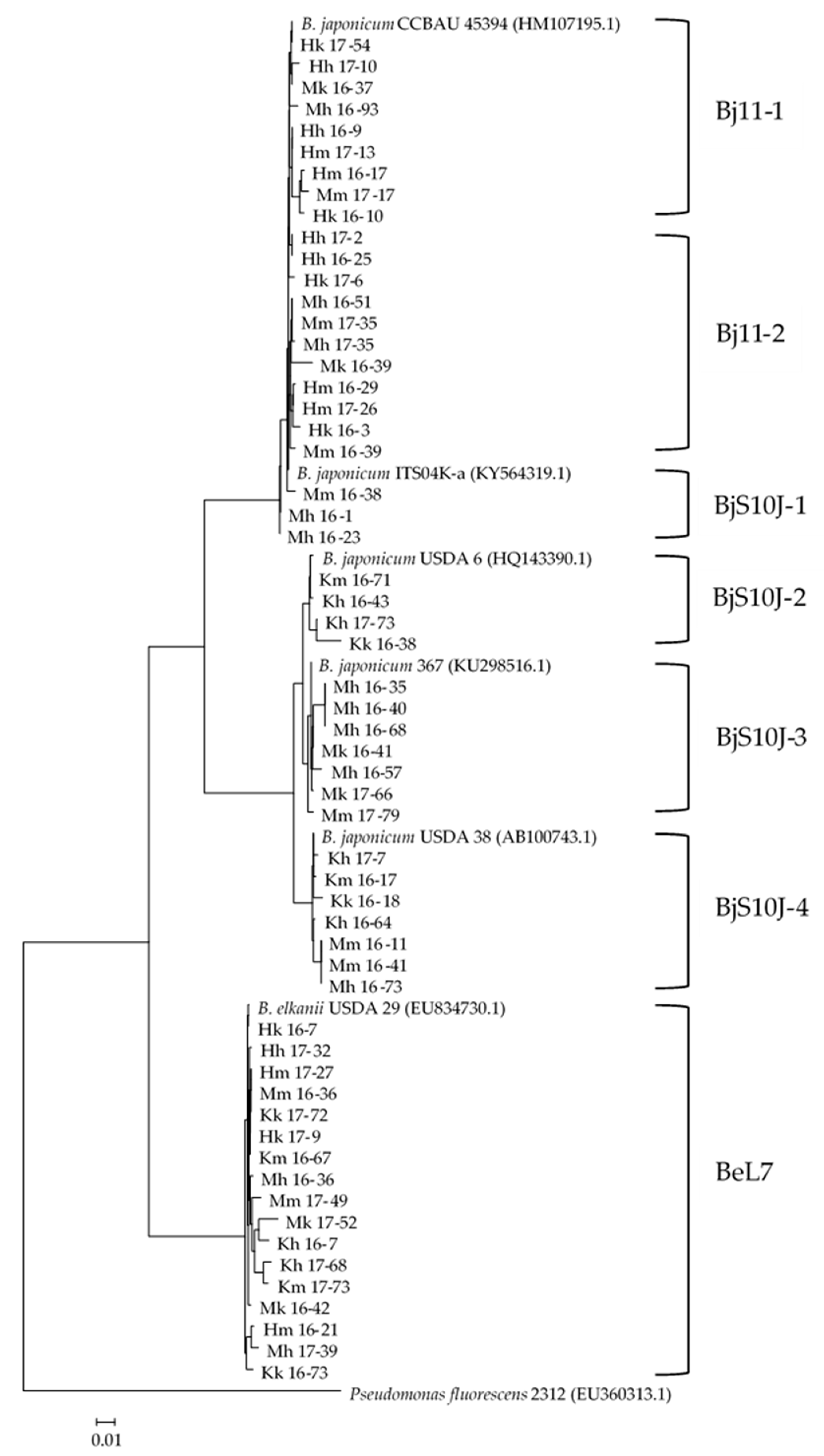 Horticulturae 07 00022 g003