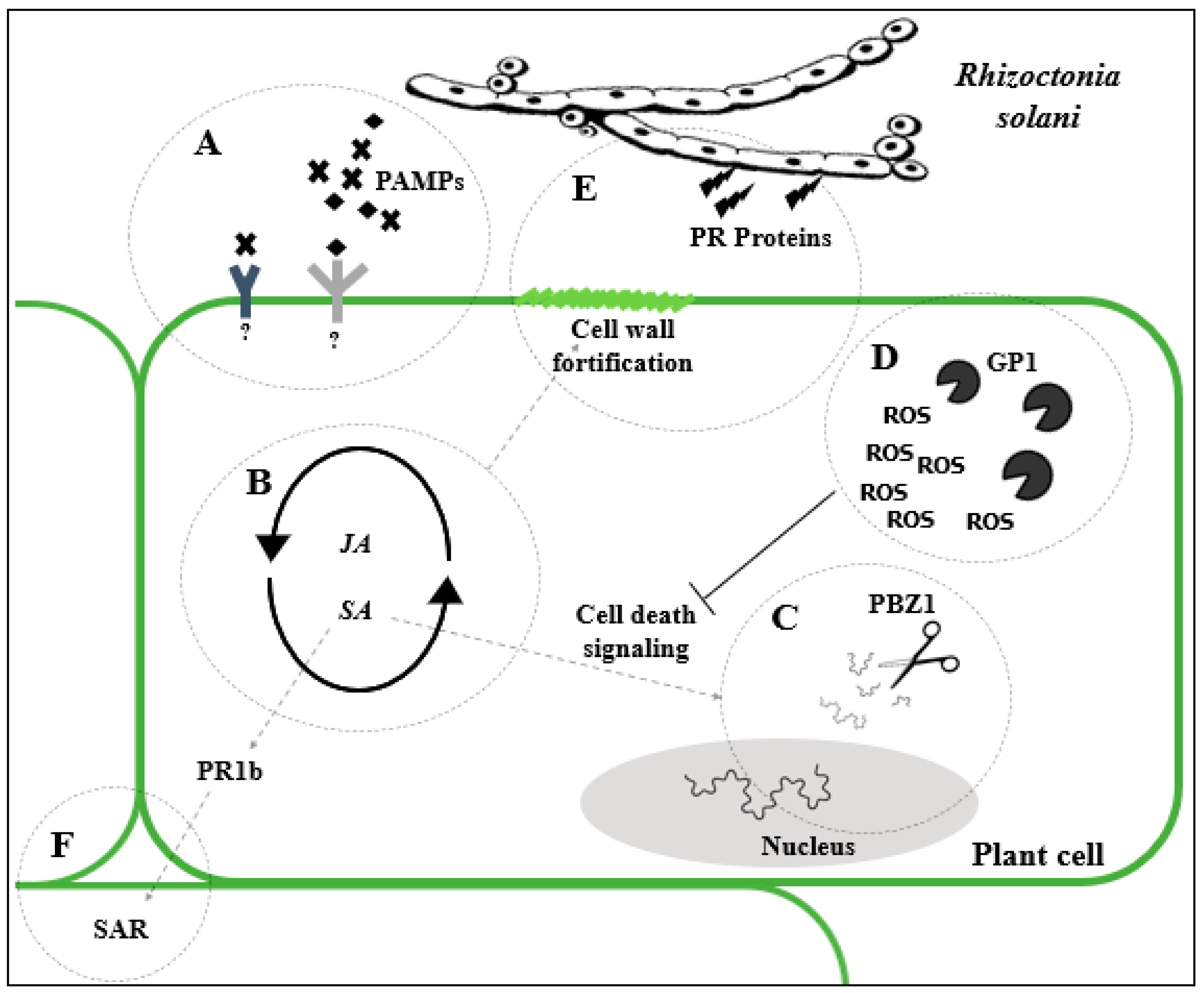 Horticulturae 07 00033 g001