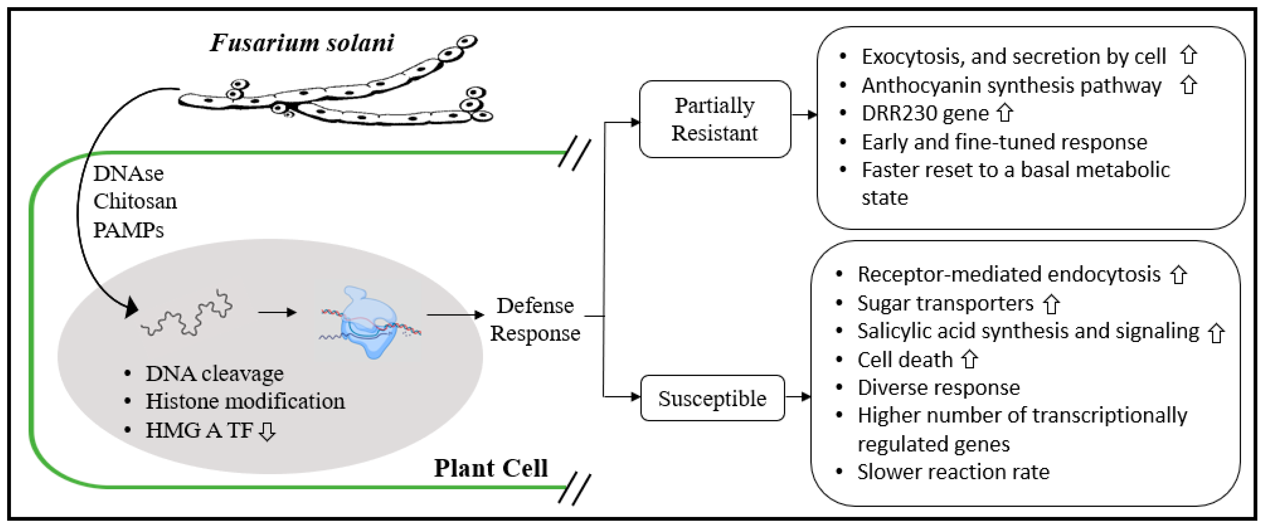 Horticulturae 07 00033 g002