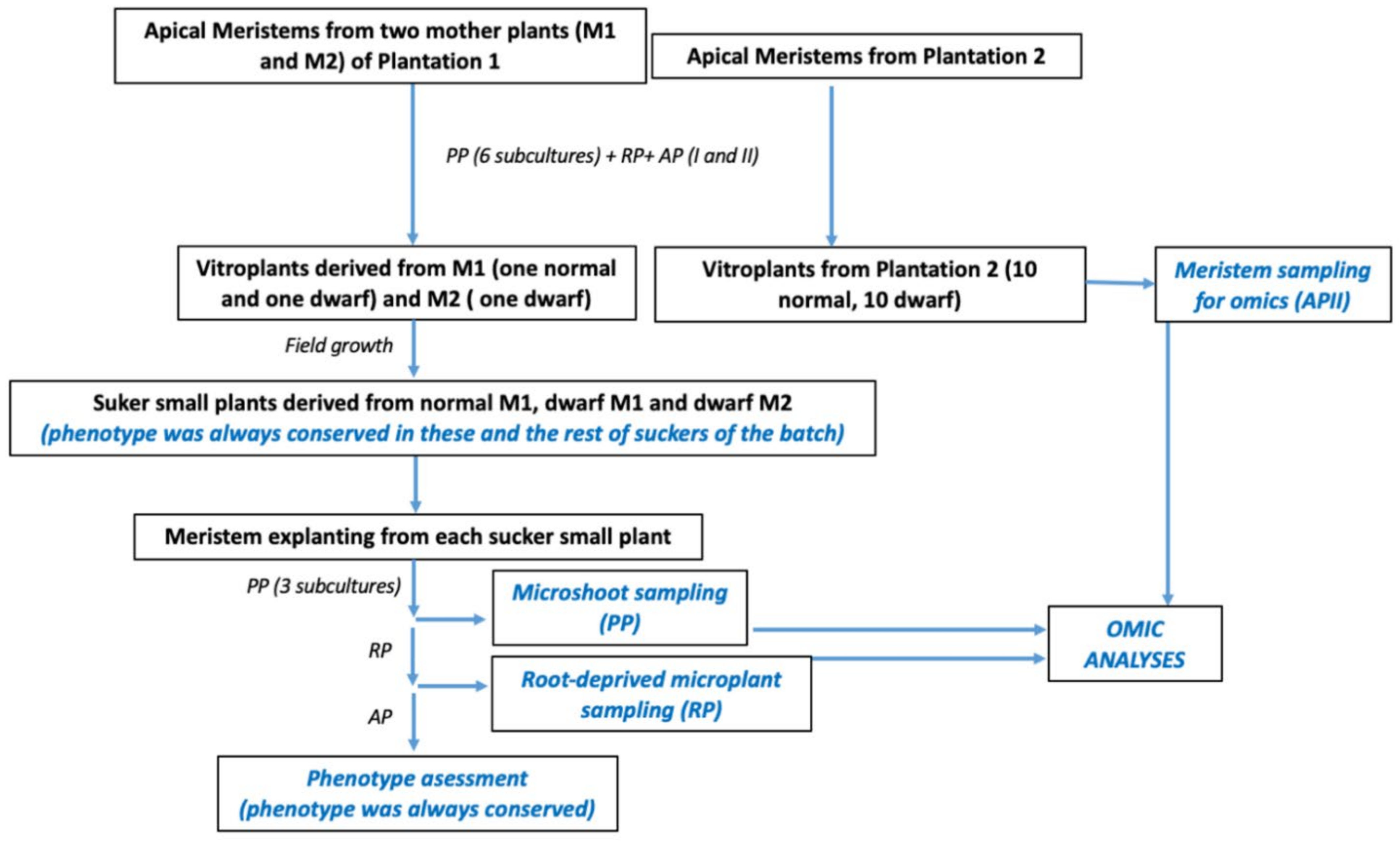 Horticulturae 07 00039 g001