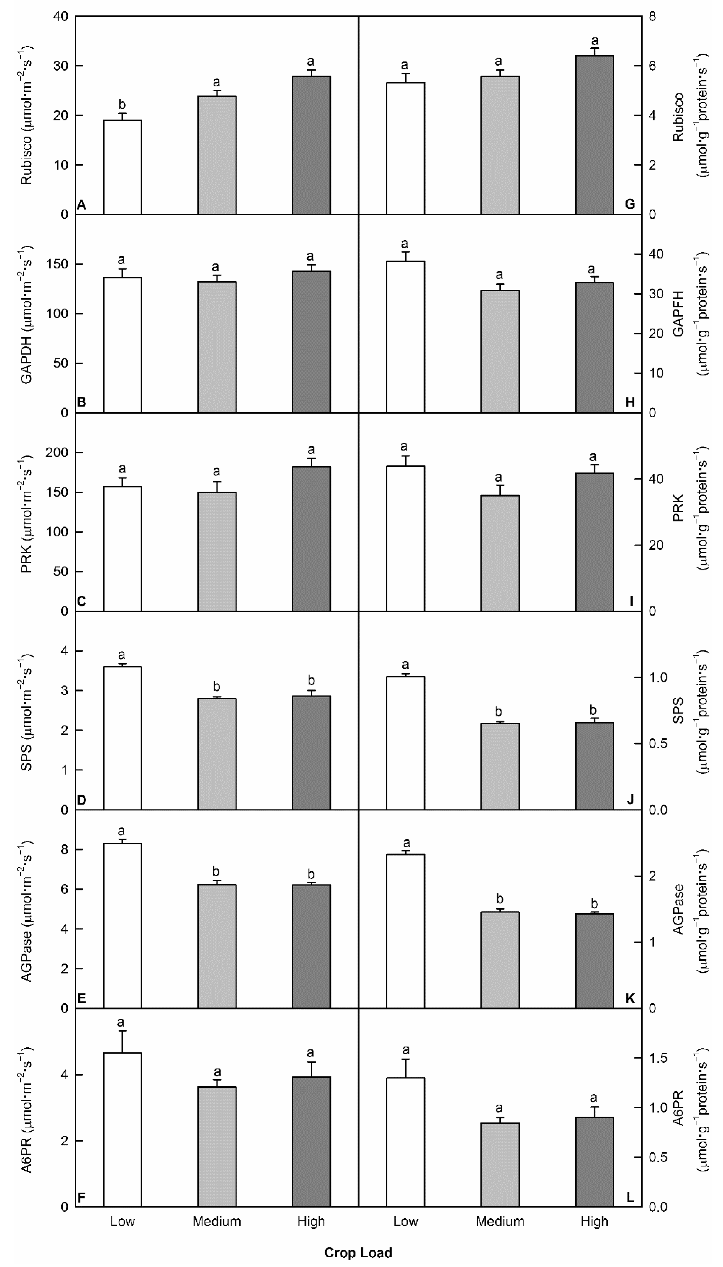 Horticulturae 07 00047 g005