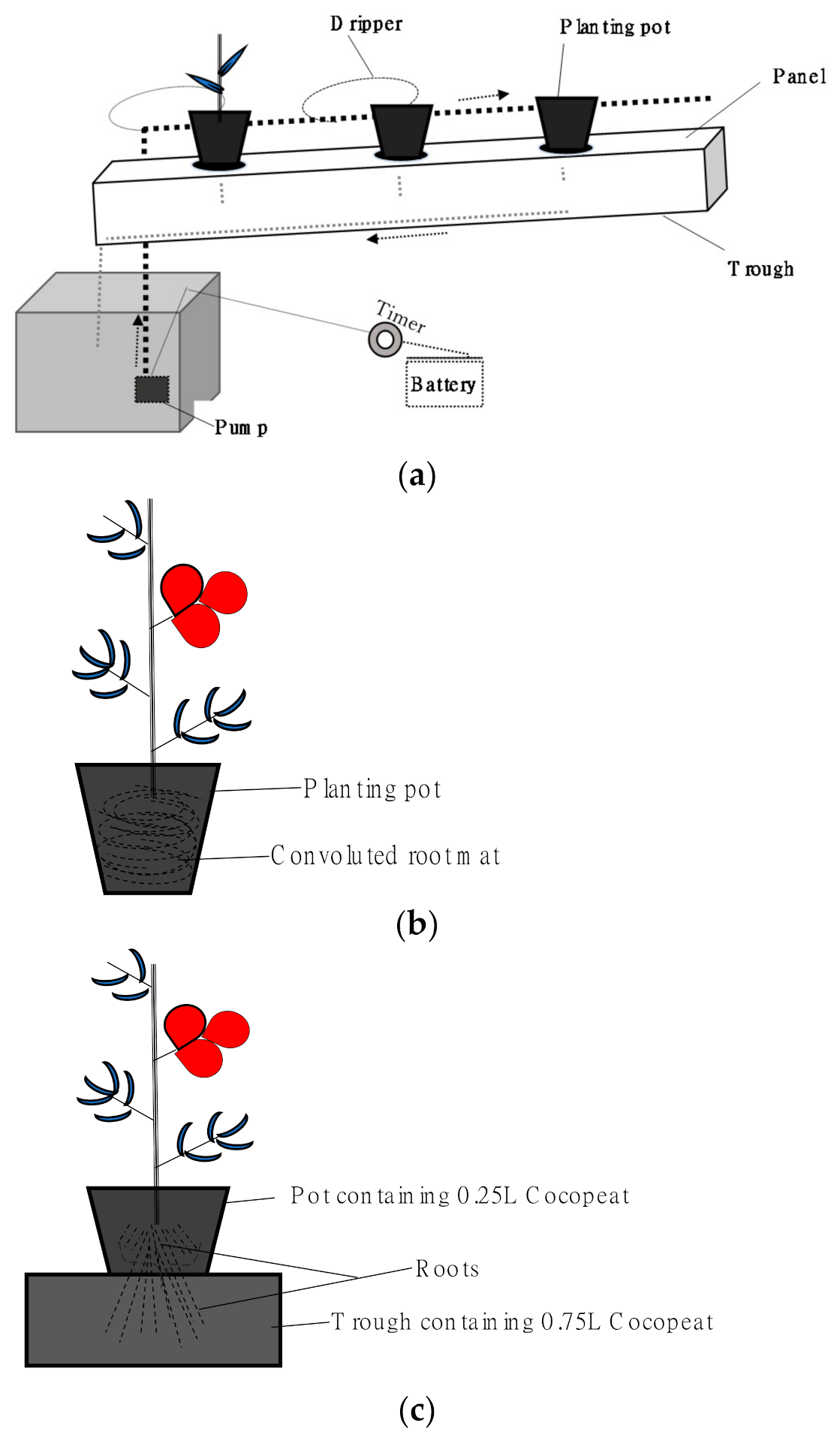 Horticulturae 07 00060 g001