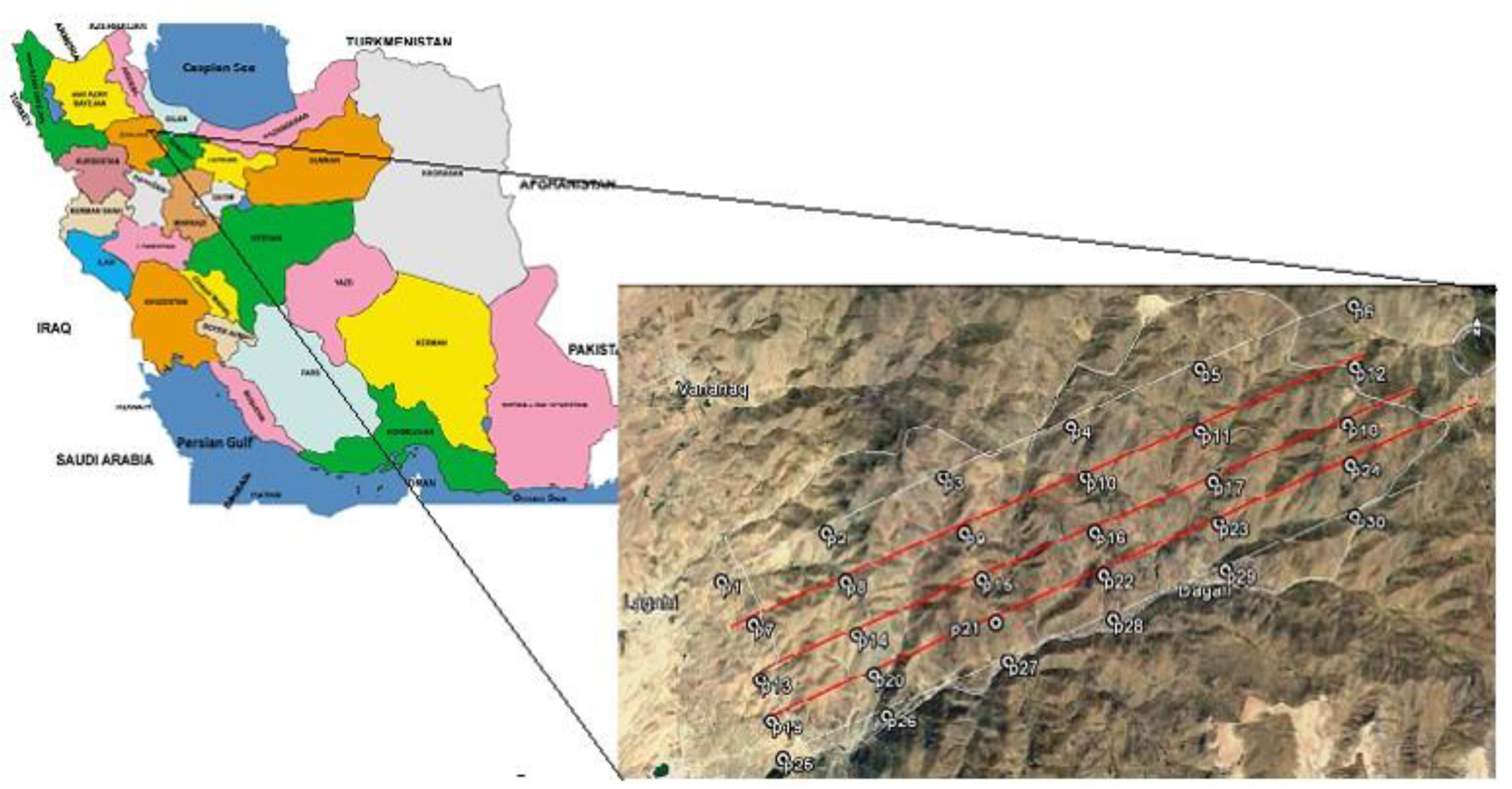 Horticulturae 07 00067 g002