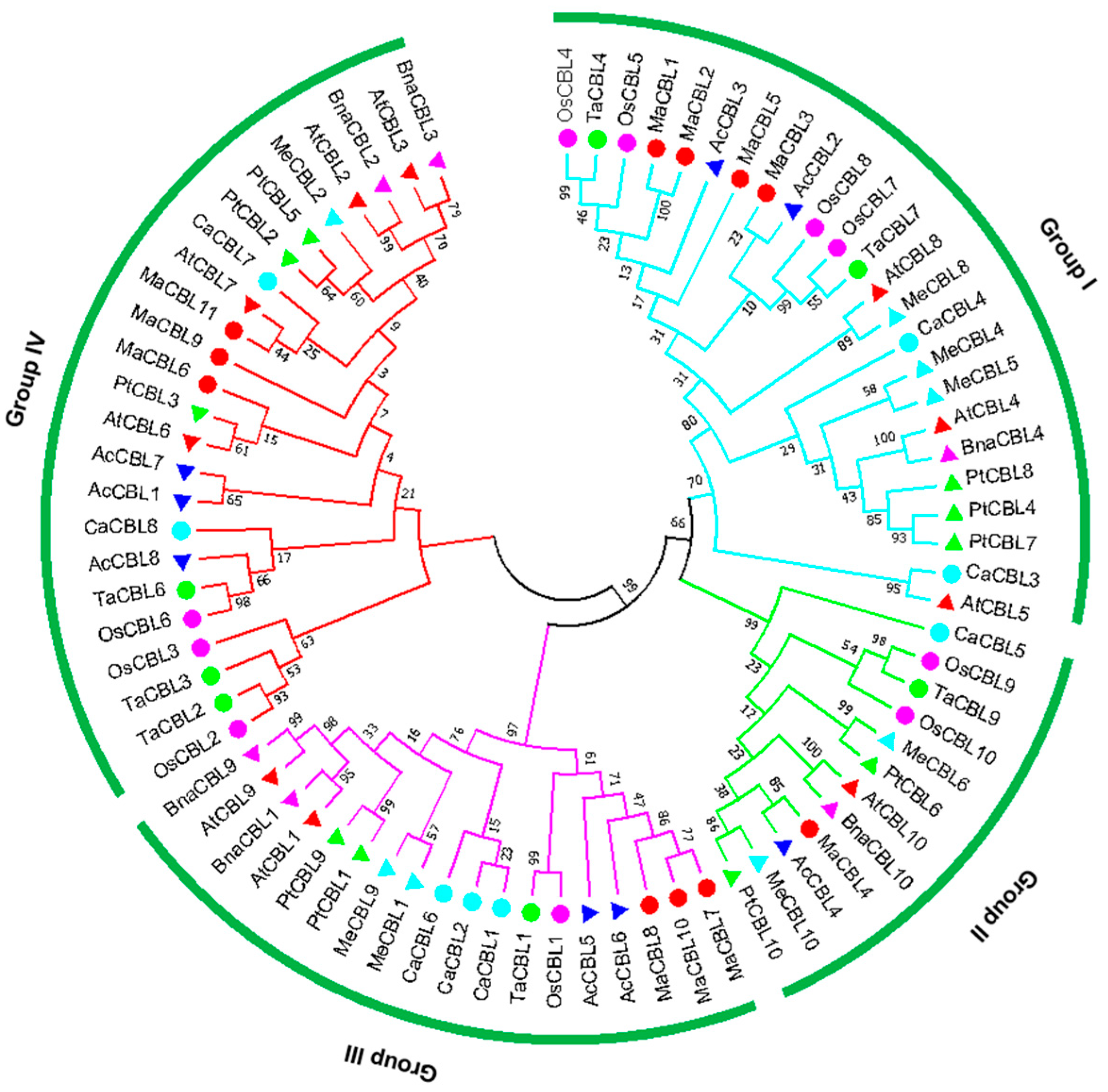 Horticulturae 07 00070 g001 Horticulturae 07 00070 g001