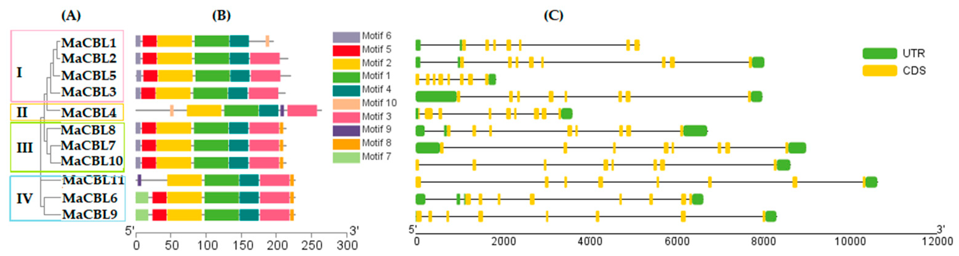 Horticulturae 07 00070 g002 Horticulturae 07 00070 g002