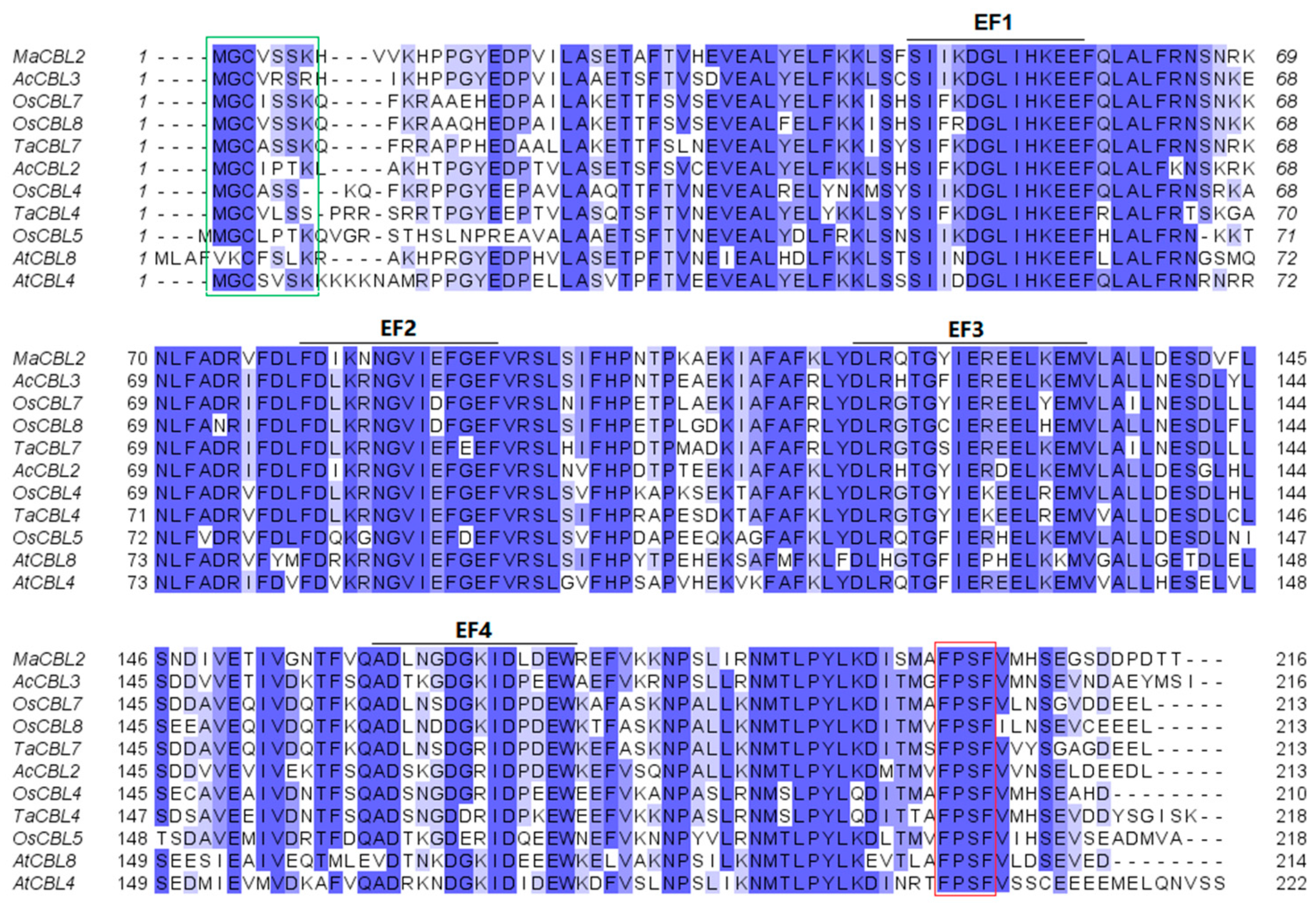 Horticulturae 07 00070 g005 Horticulturae 07 00070 g005