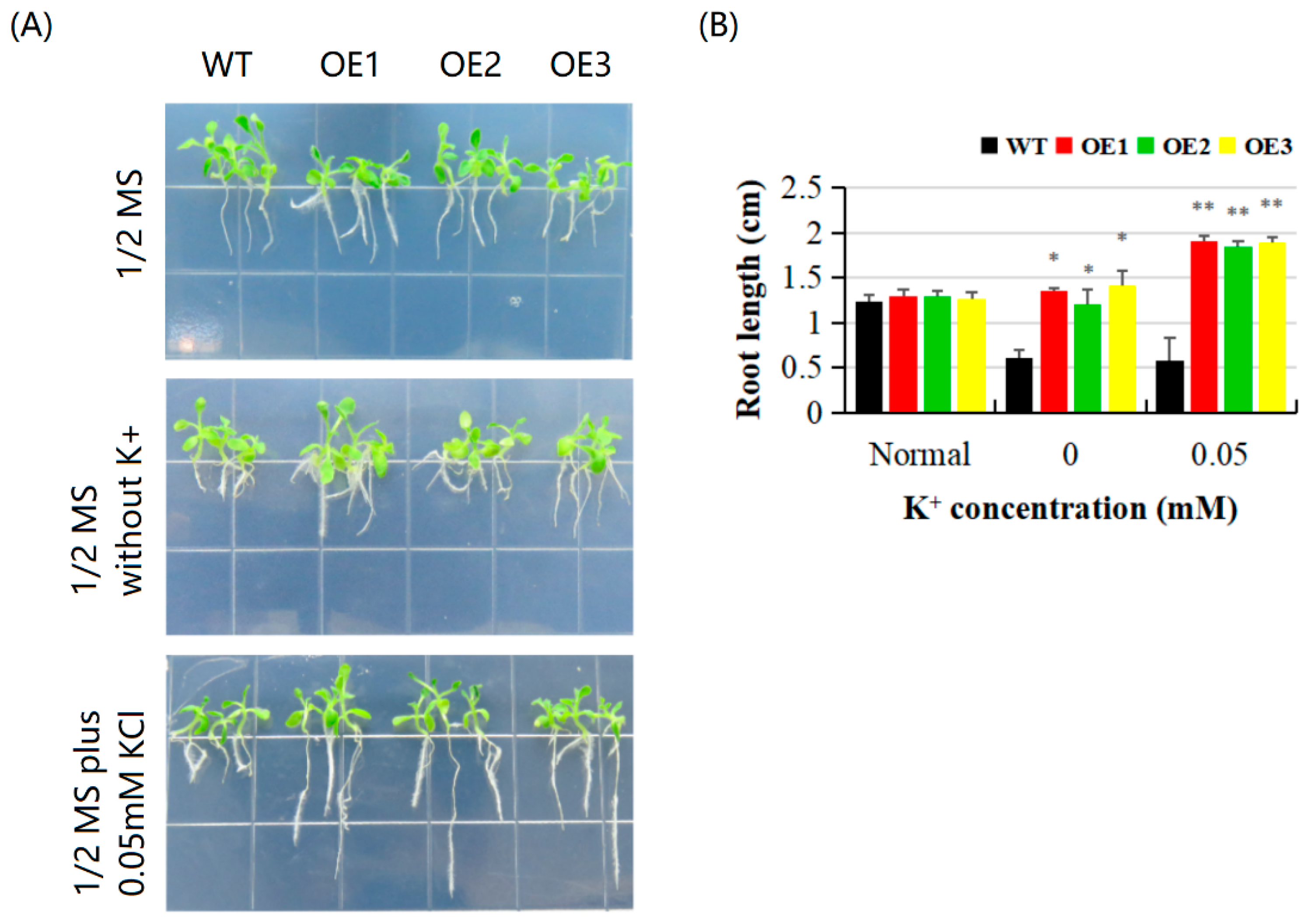 Horticulturae 07 00070 g008 Horticulturae 07 00070 g008