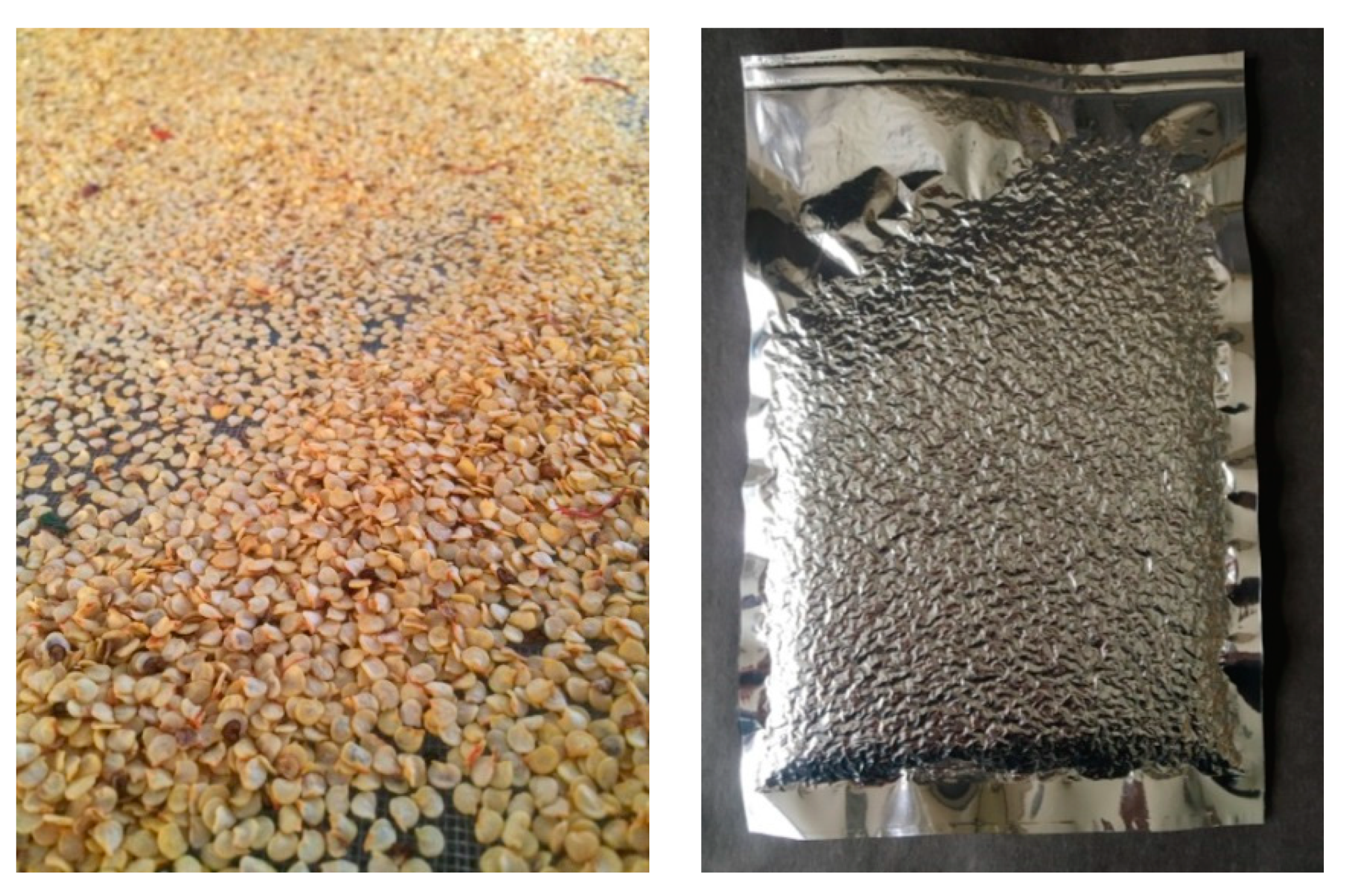 Horticulturae 07 00075 g002 Horticulturae 07 00075 g002