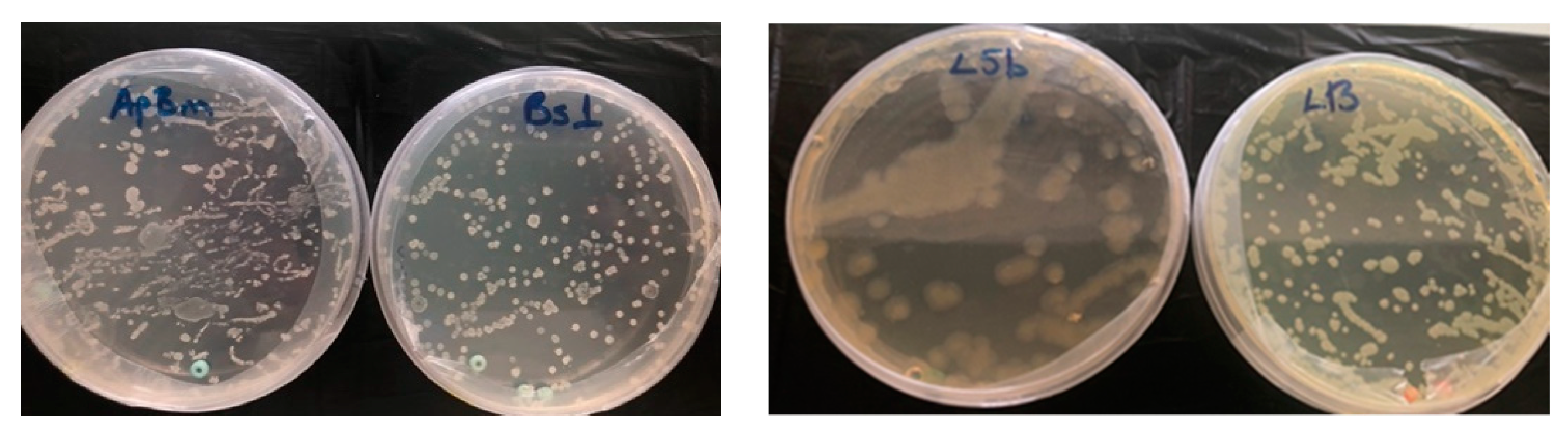 Horticulturae 07 00075 g003 Horticulturae 07 00075 g003
