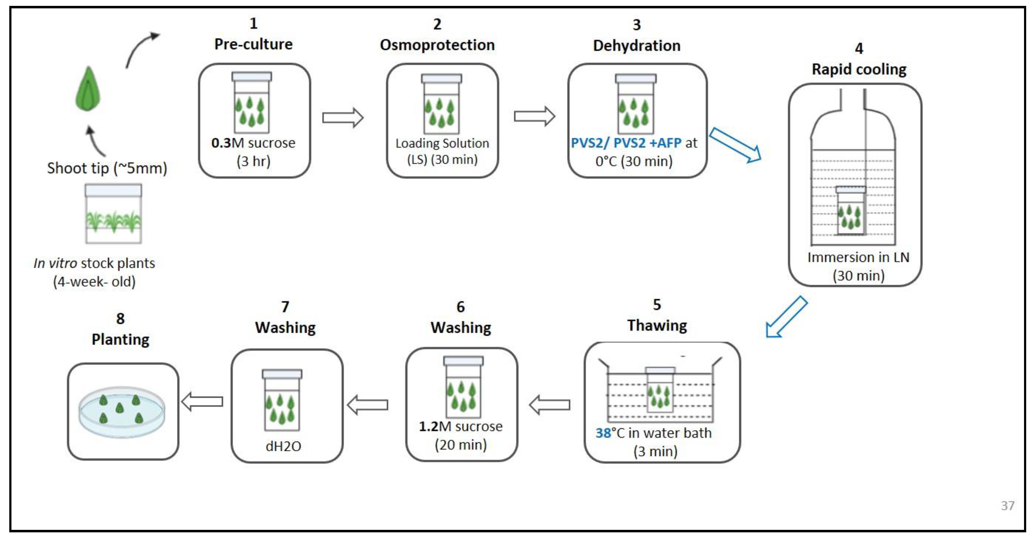 Horticulturae 07 00082 g002