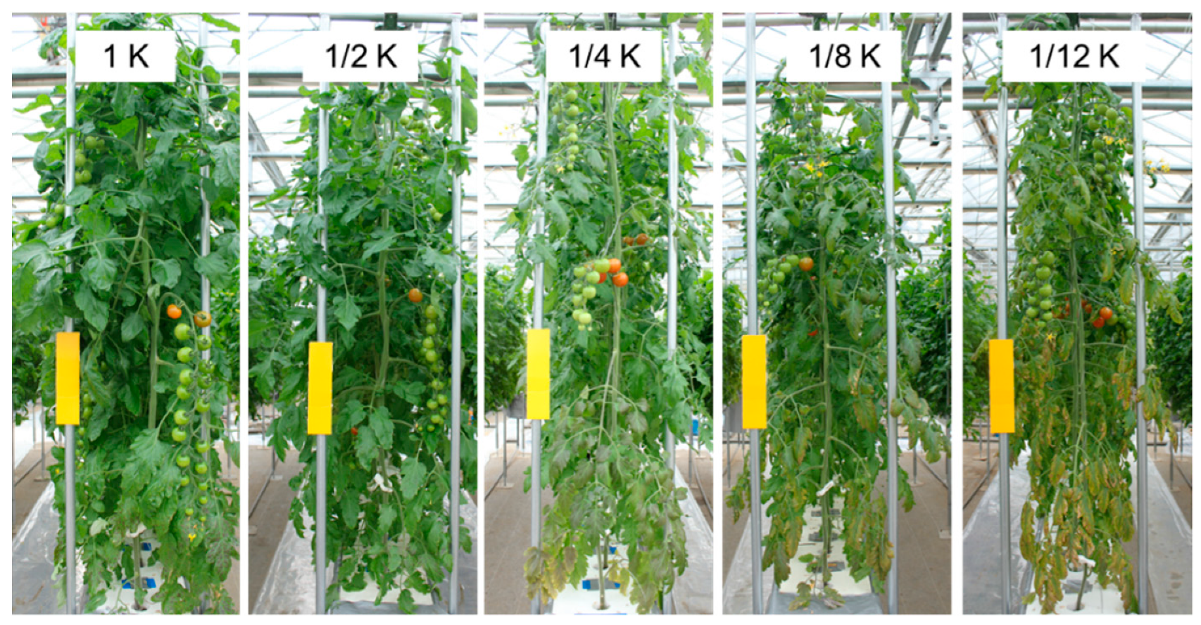 Horticulturae 07 00087 g003