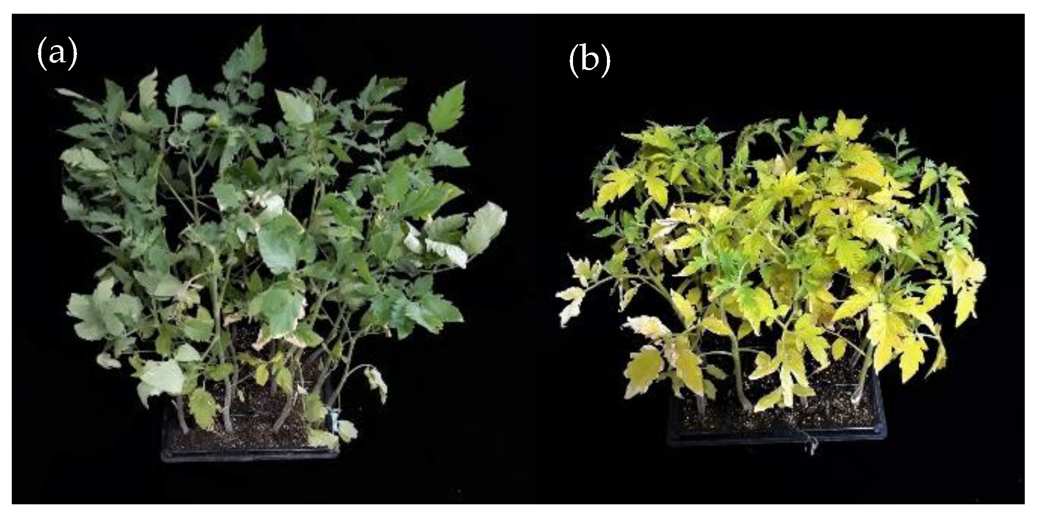 Horticulturae 07 00119 g002