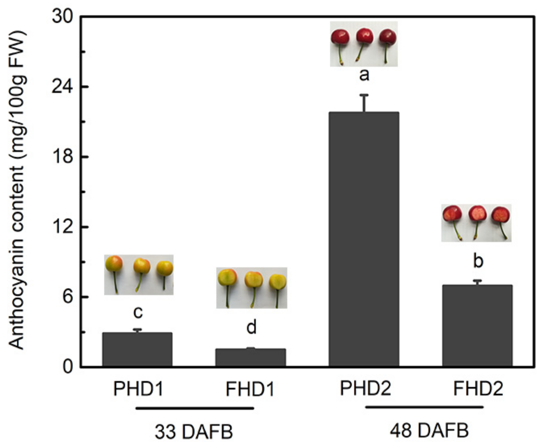 Horticulturae 07 00123 g001