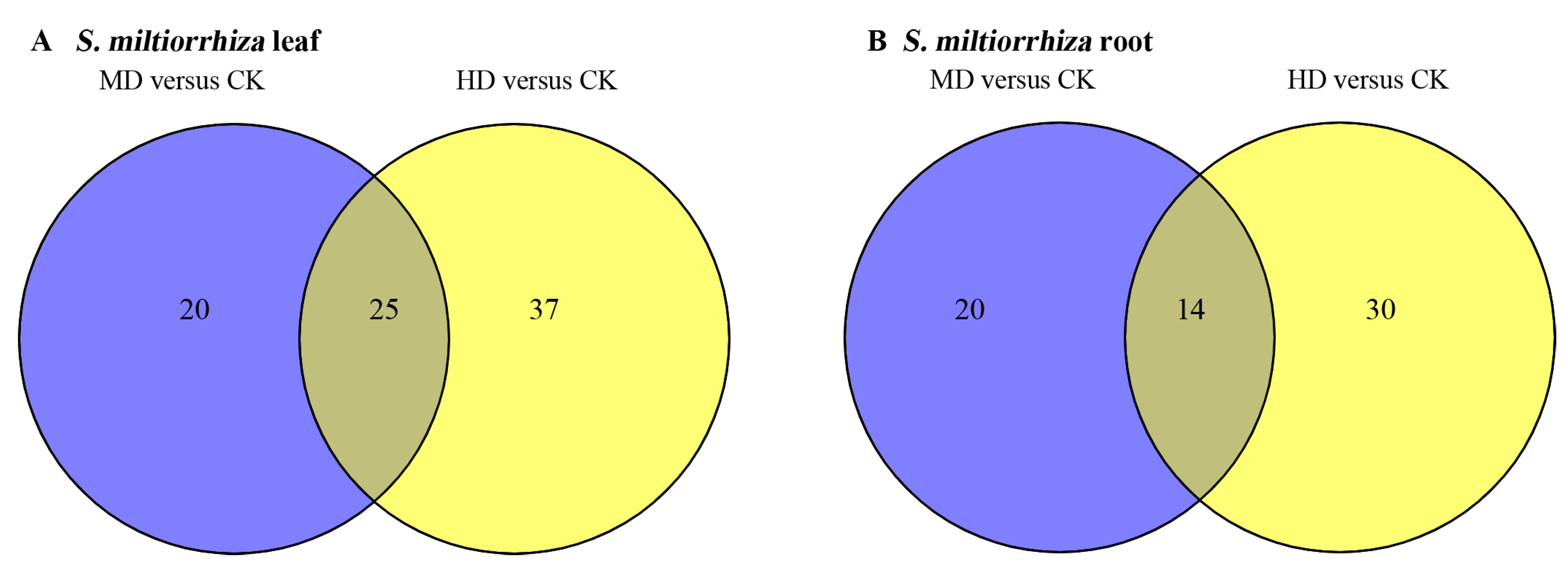 Horticulturae 07 00175 g002
