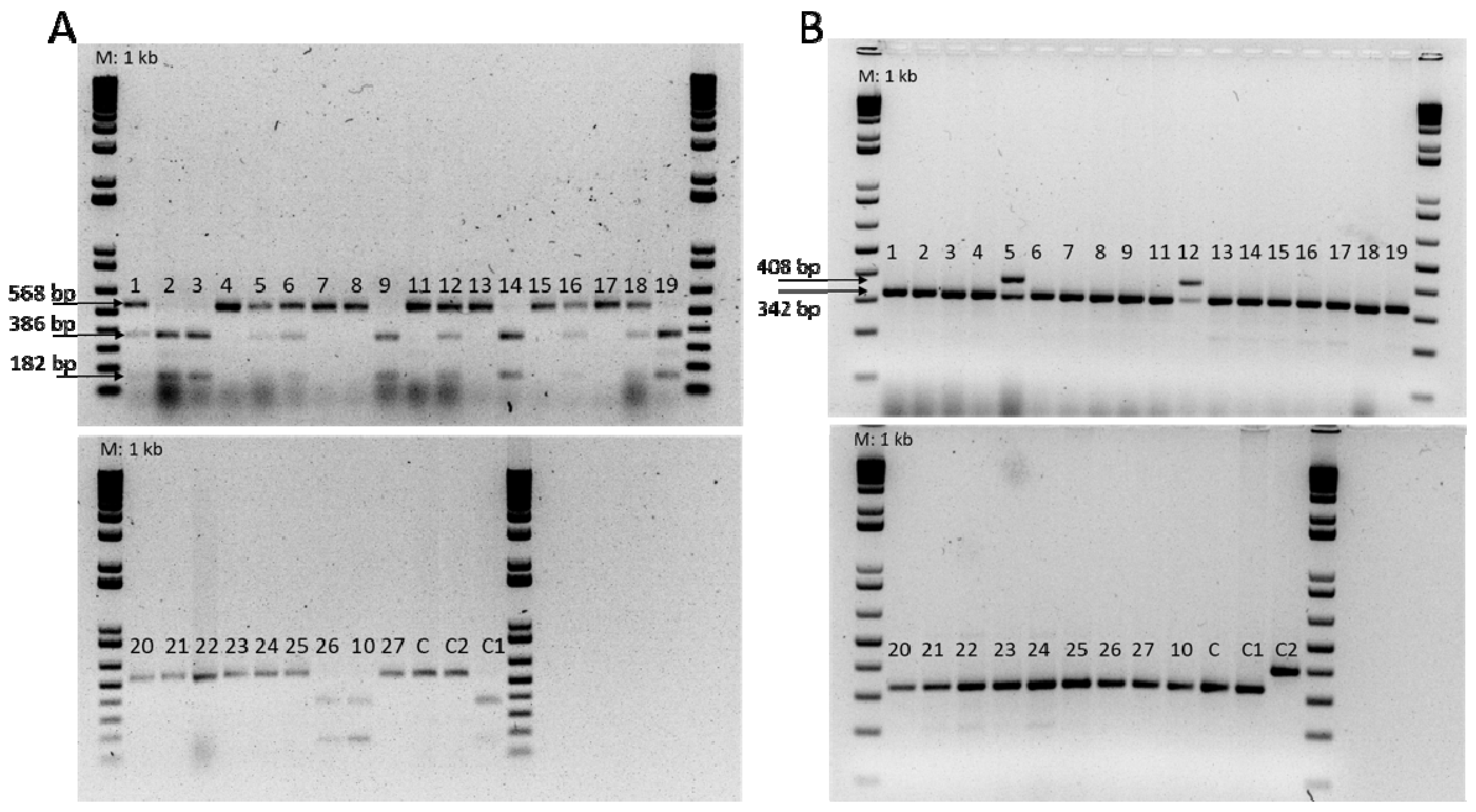 Horticulturae 07 00208 g004