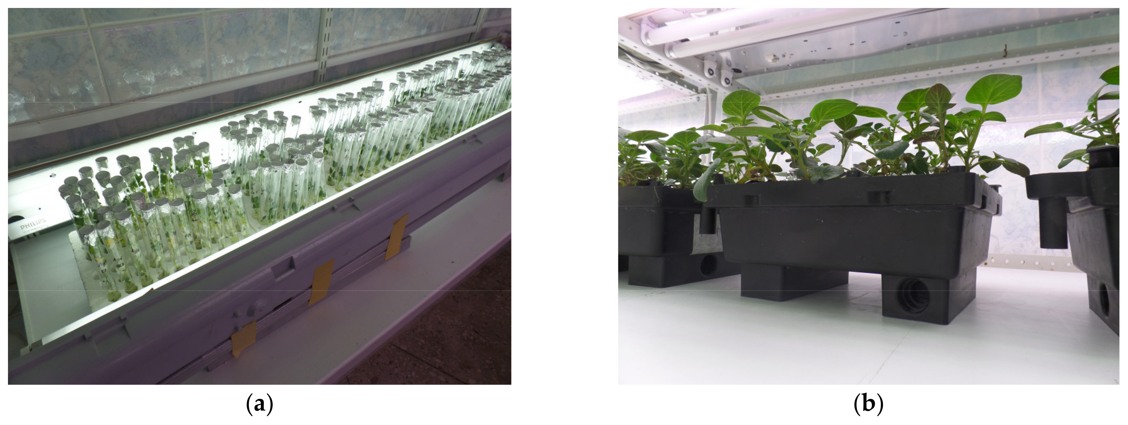 Horticulturae 07 00217 g0a1