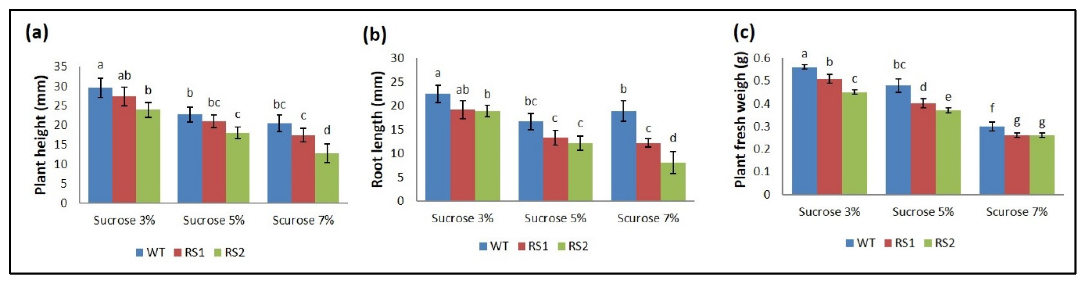 Horticulturae 07 00219 g004 Horticulturae 07 00219 g004