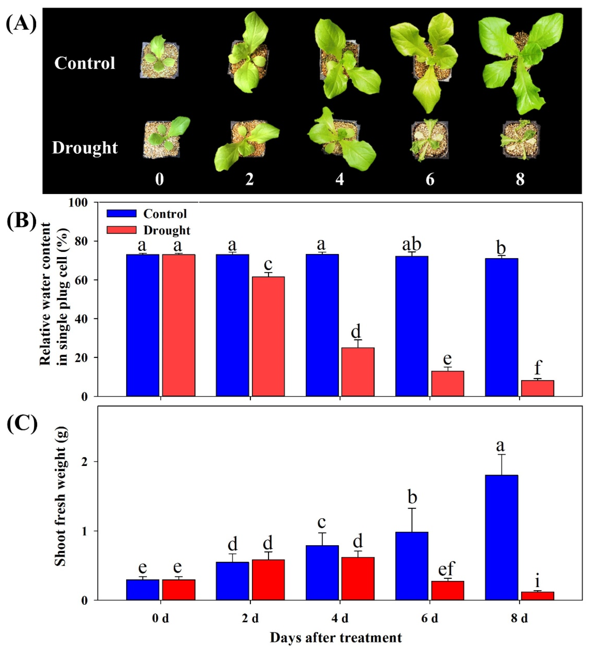 Horticulturae 07 00238 g001