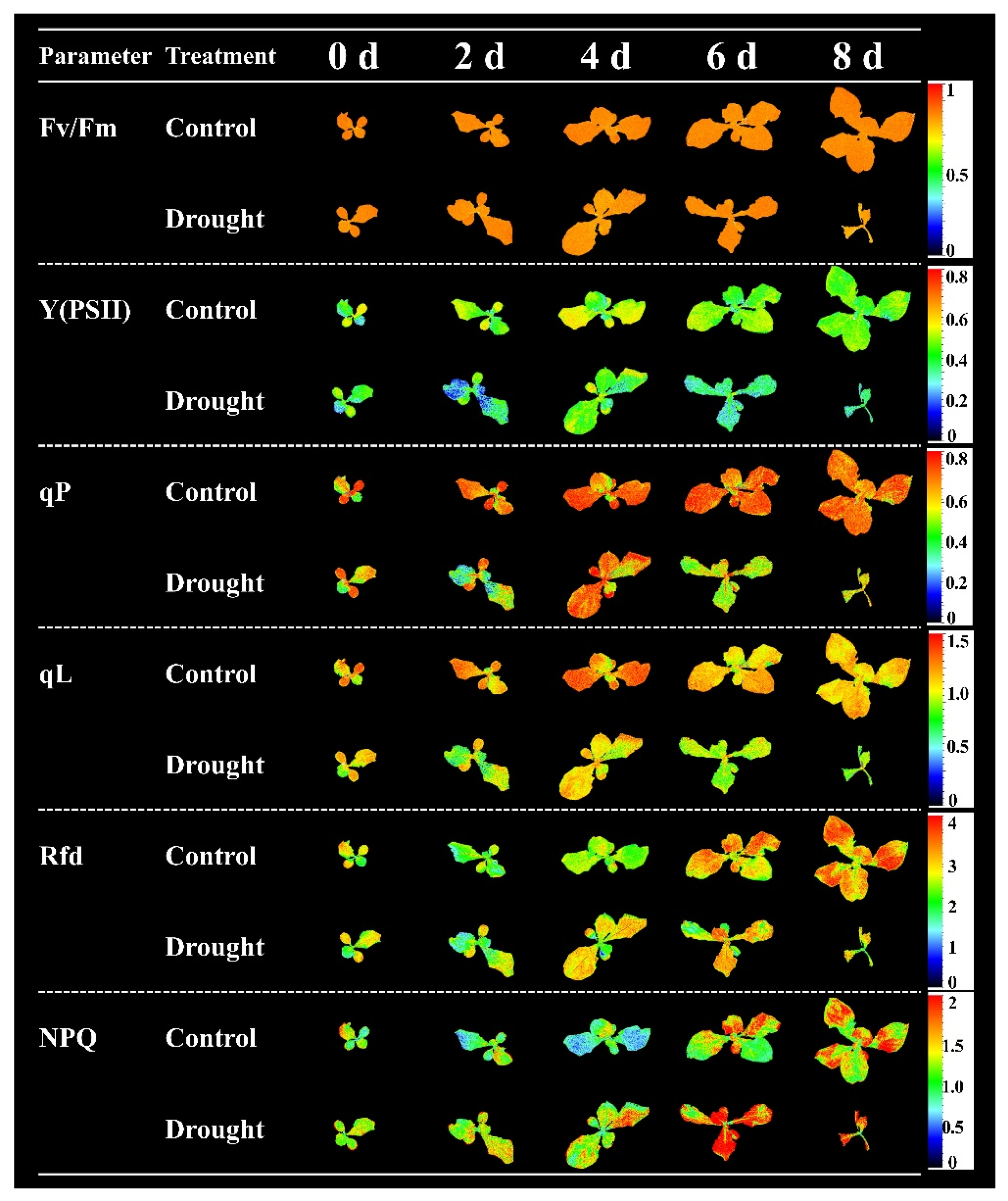 Horticulturae 07 00238 g003