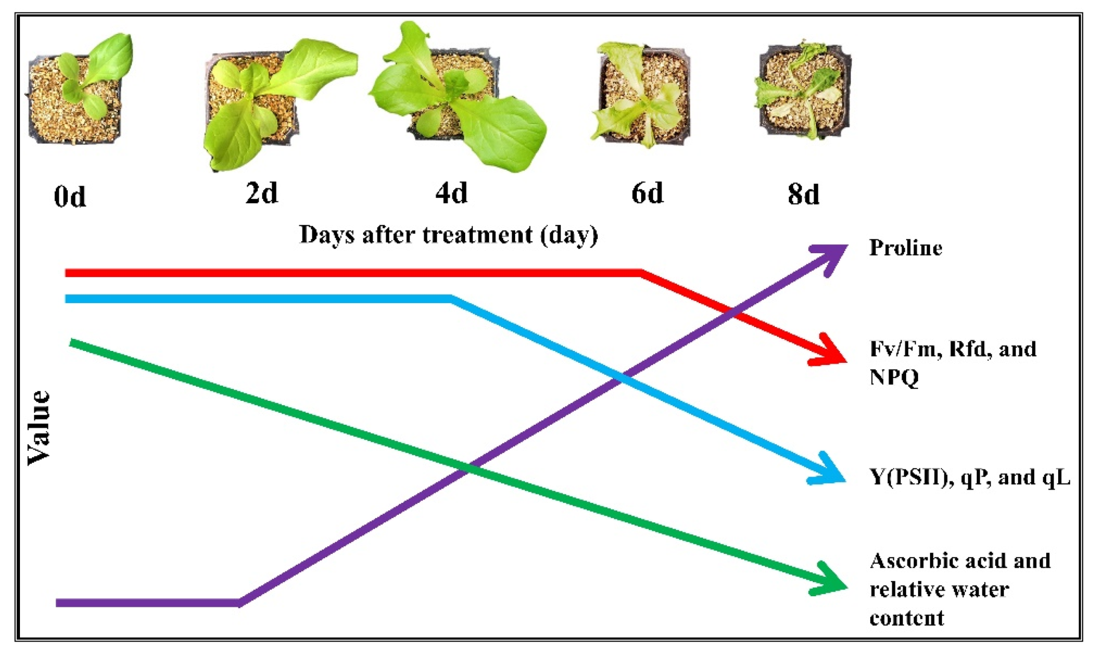 Horticulturae 07 00238 g007
