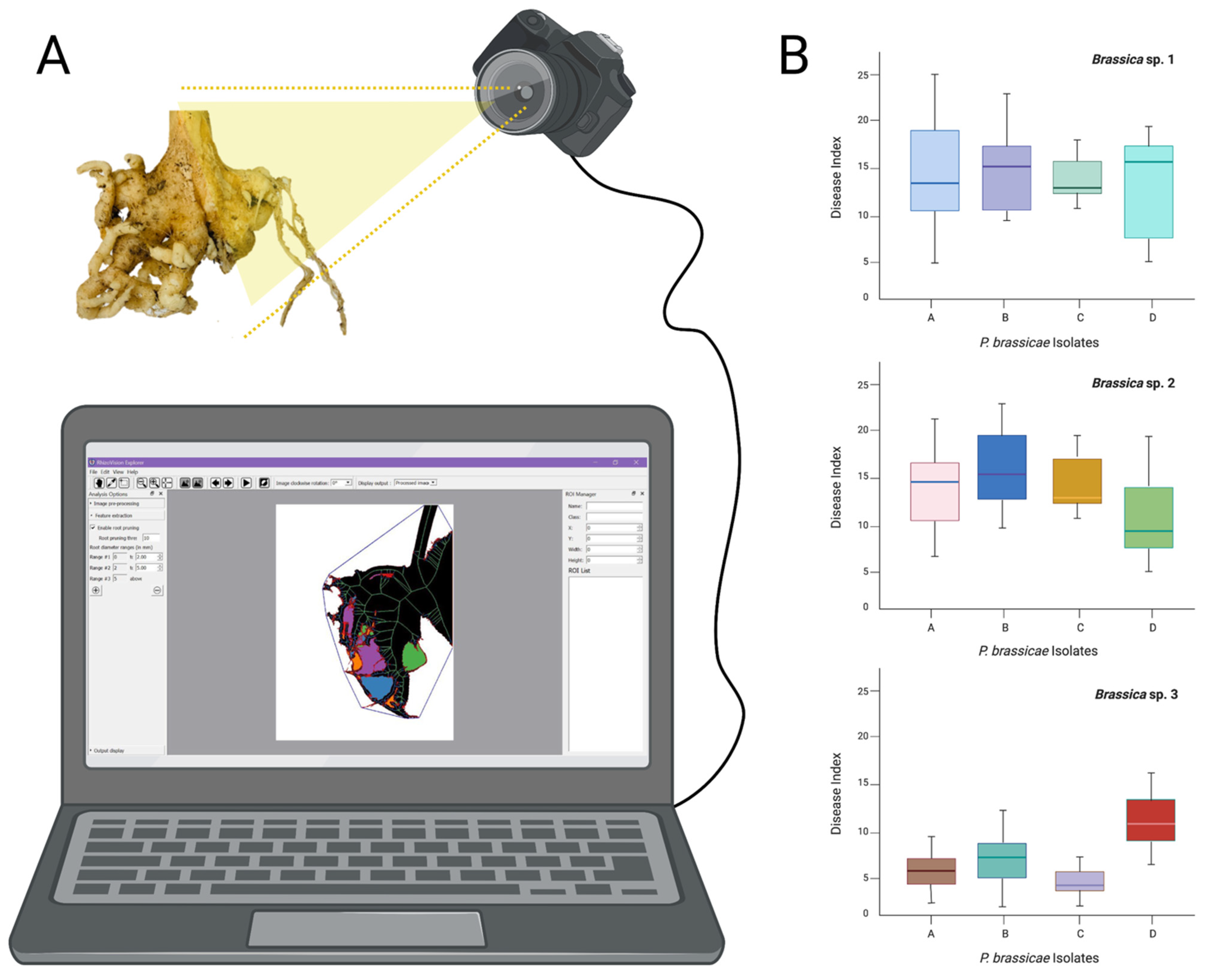 Horticulturae 07 00241 g001
