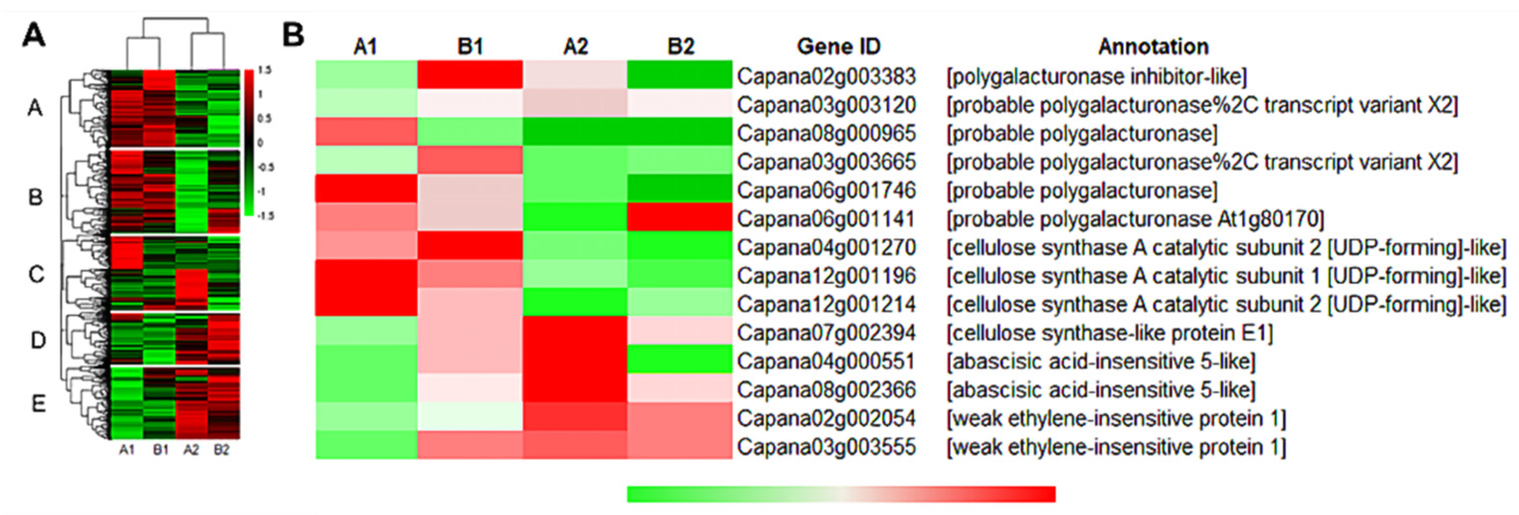 Horticulturae 07 00242 g004