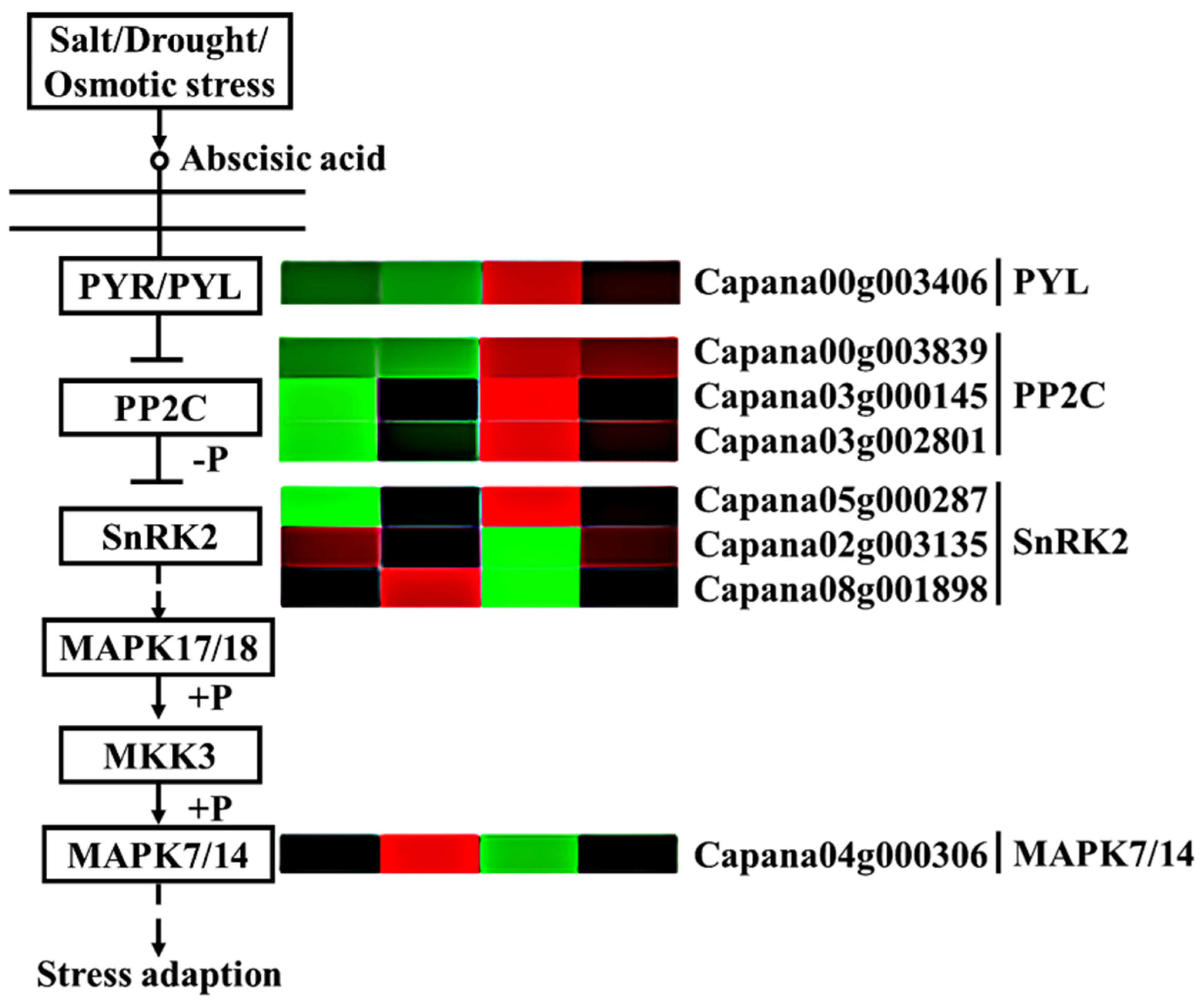 Horticulturae 07 00242 g008