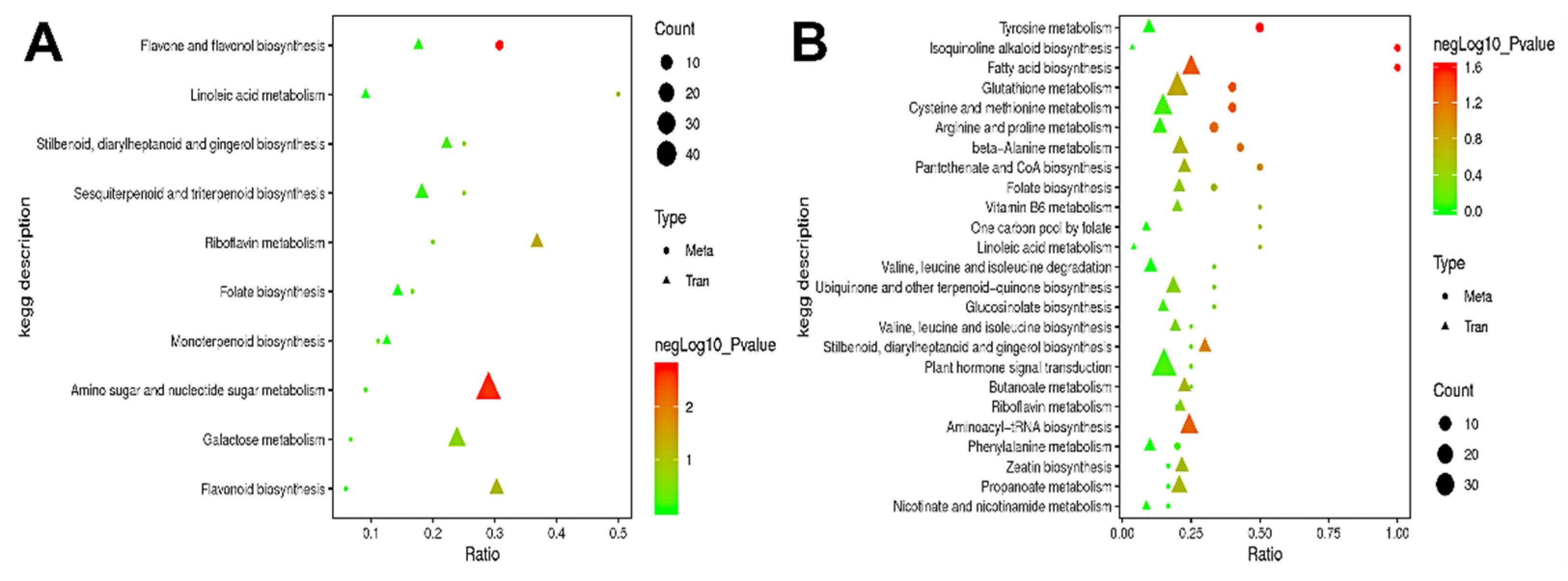 Horticulturae 07 00242 g010