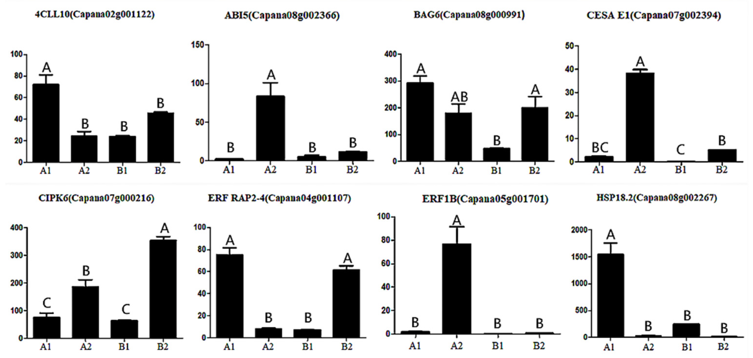 Horticulturae 07 00242 g011