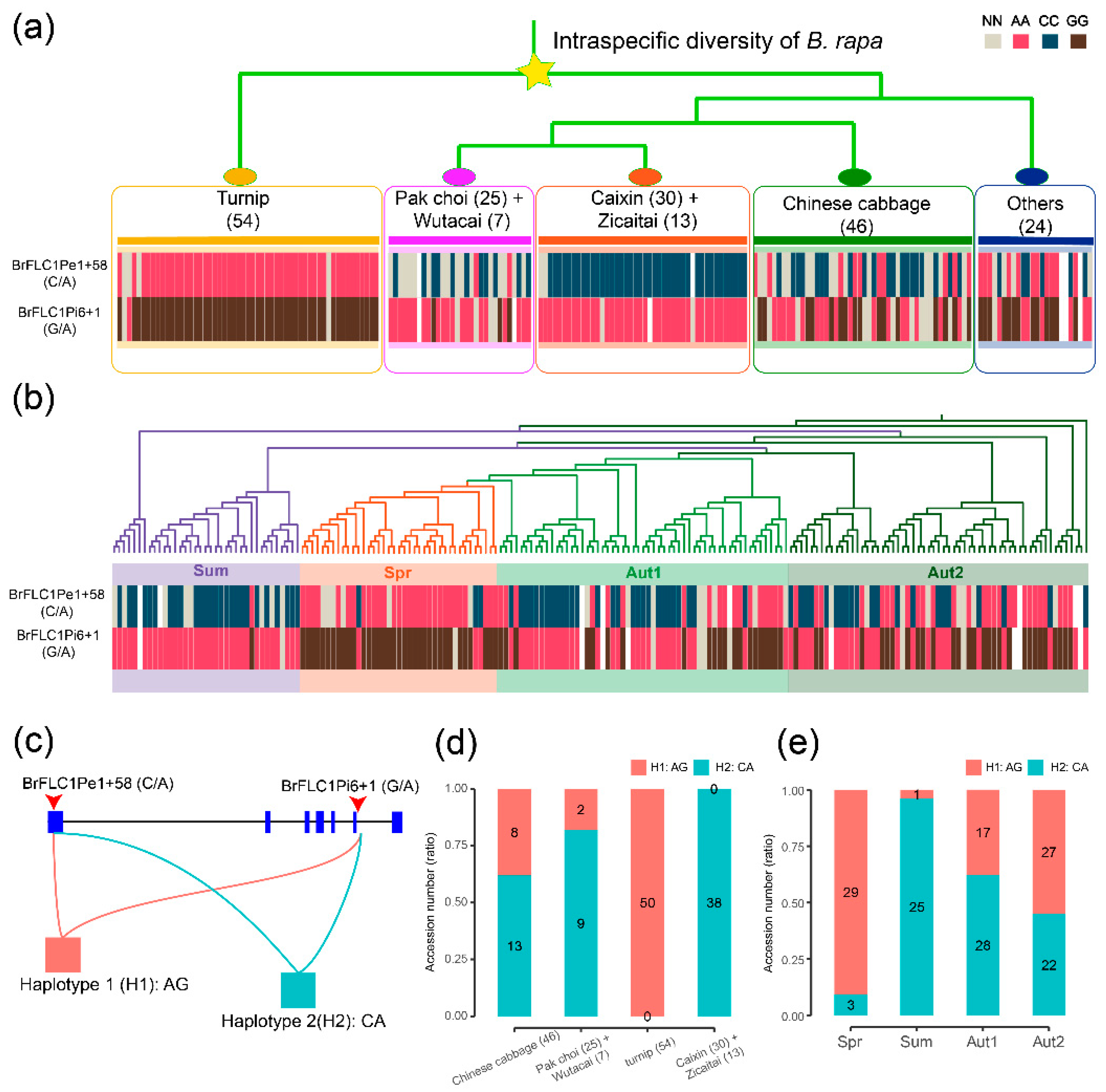 Horticulturae 07 00247 g003