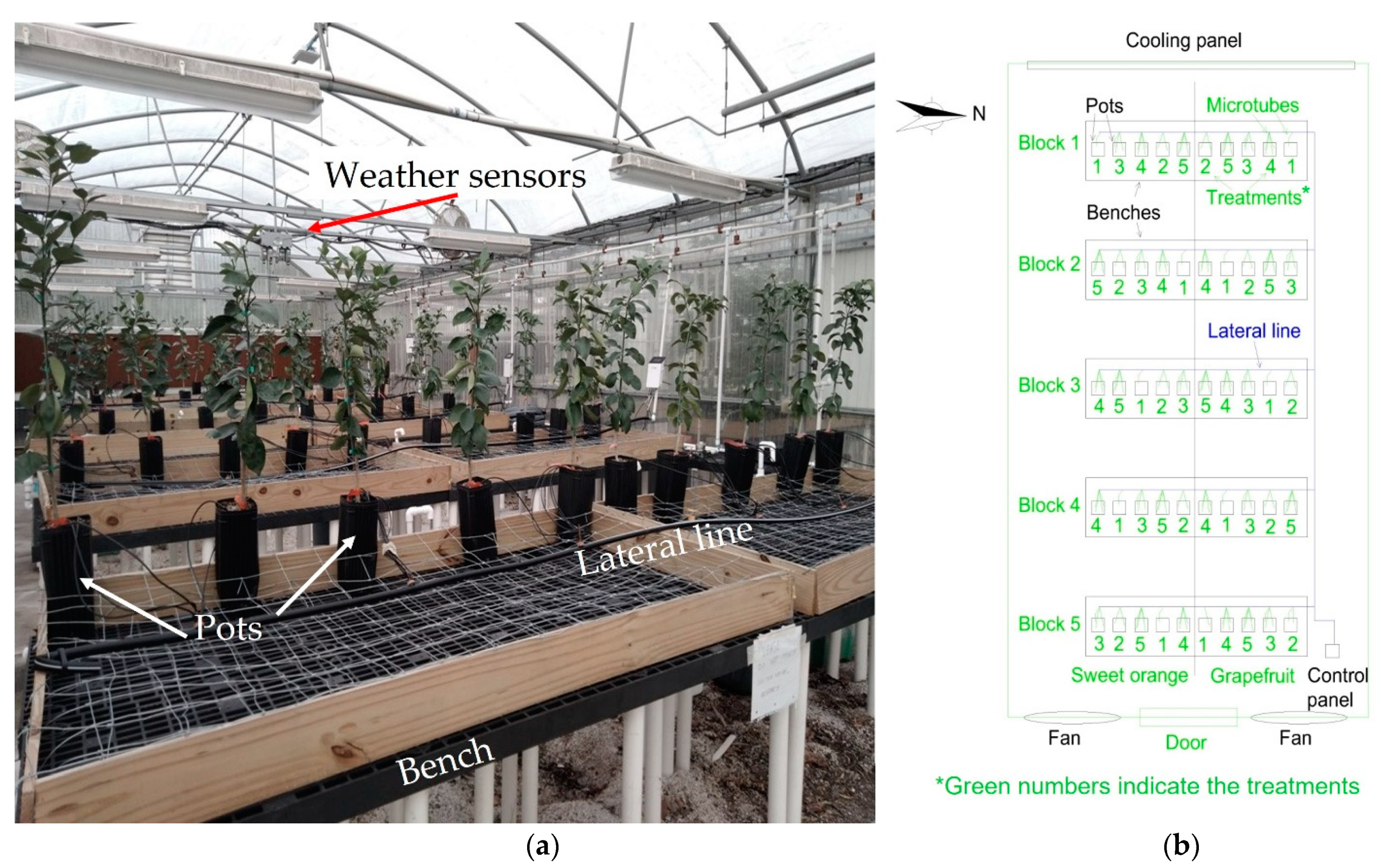 Horticulturae 07 00249 g001 Horticulturae 07 00249 g001