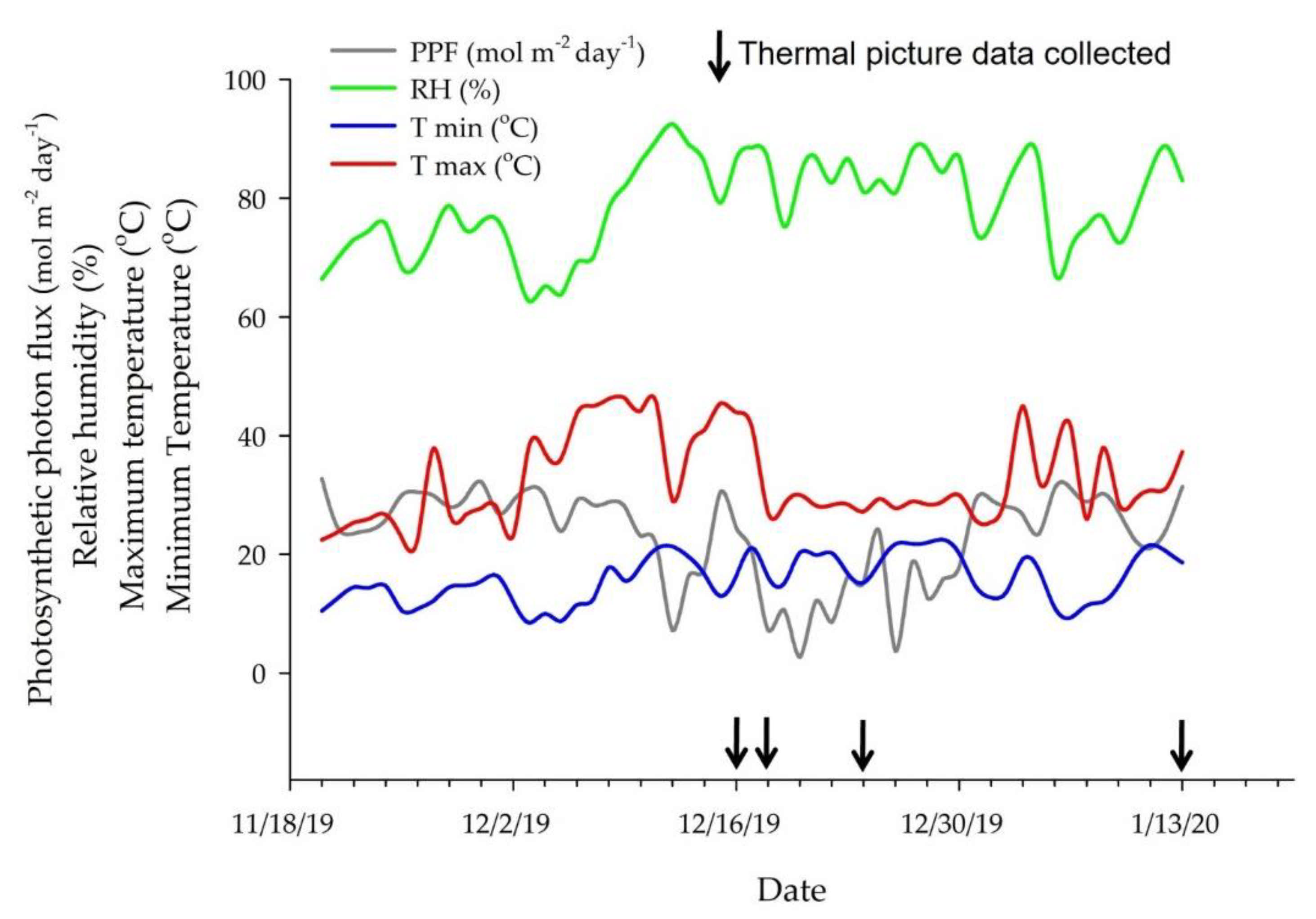 Horticulturae 07 00249 g002 Horticulturae 07 00249 g002