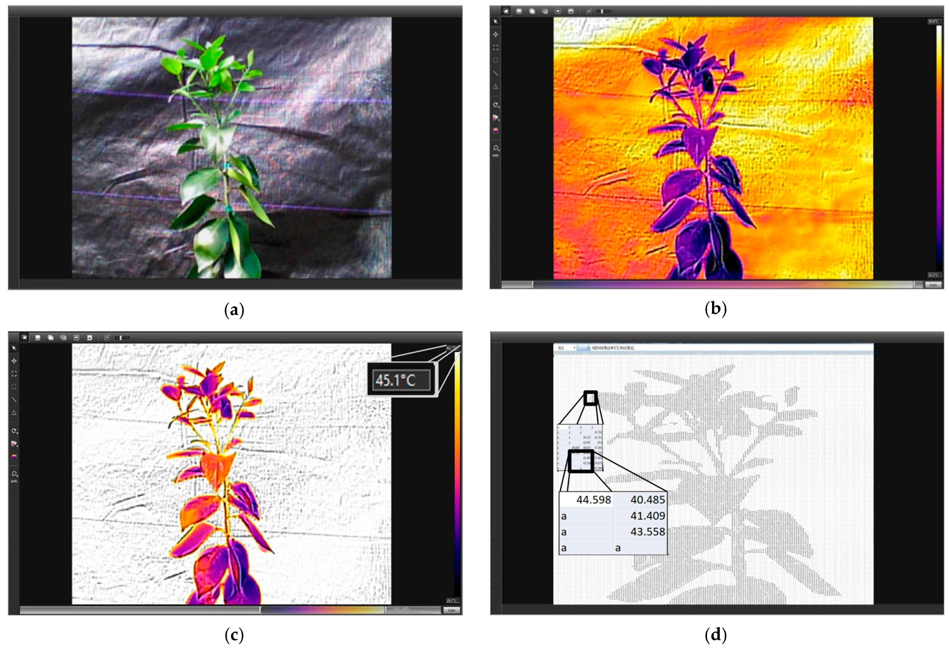 Horticulturae 07 00249 g004 Horticulturae 07 00249 g004
