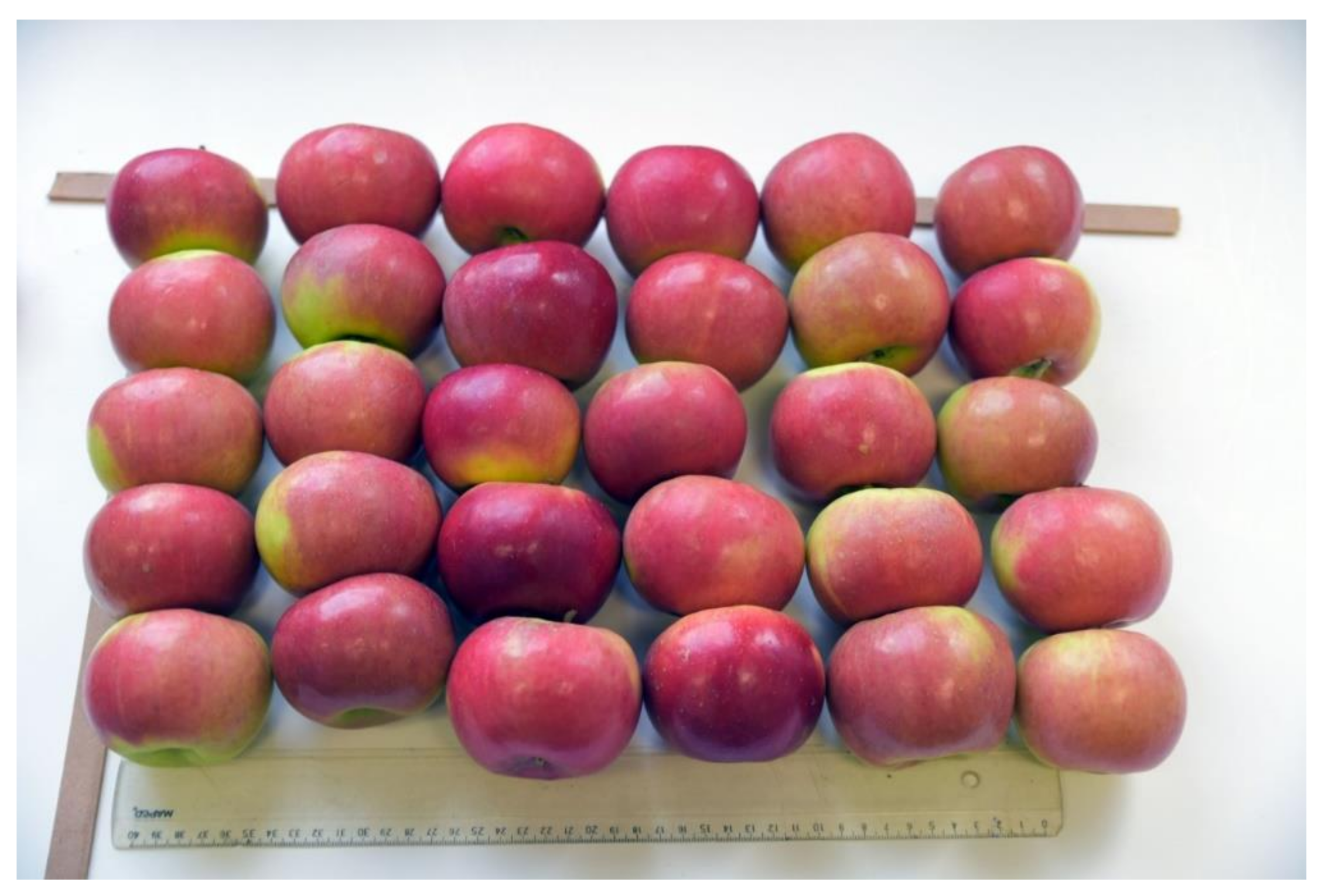 Horticulturae 07 00266 g001 Horticulturae 07 00266 g001