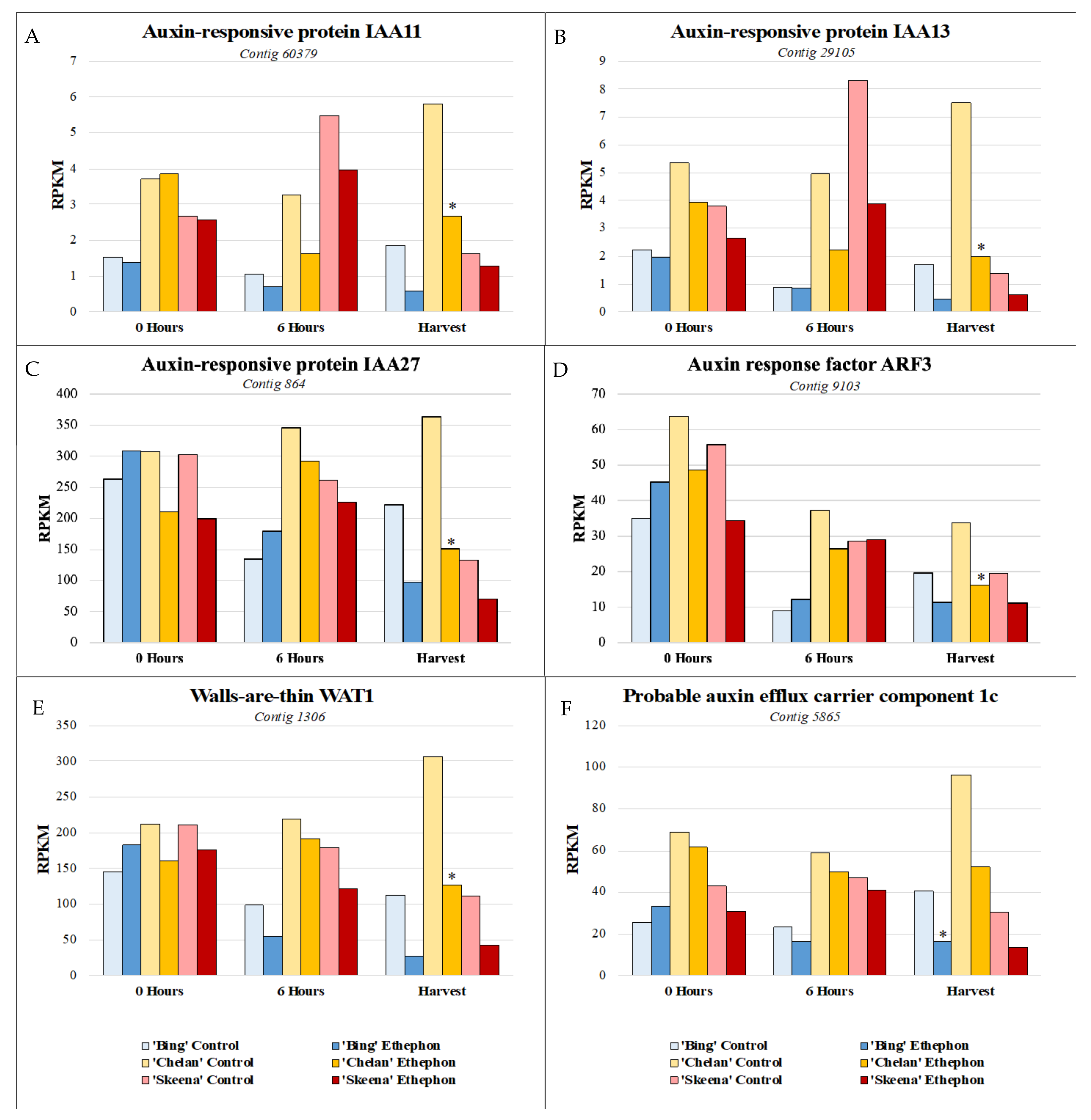 Horticulturae 07 00270 g006