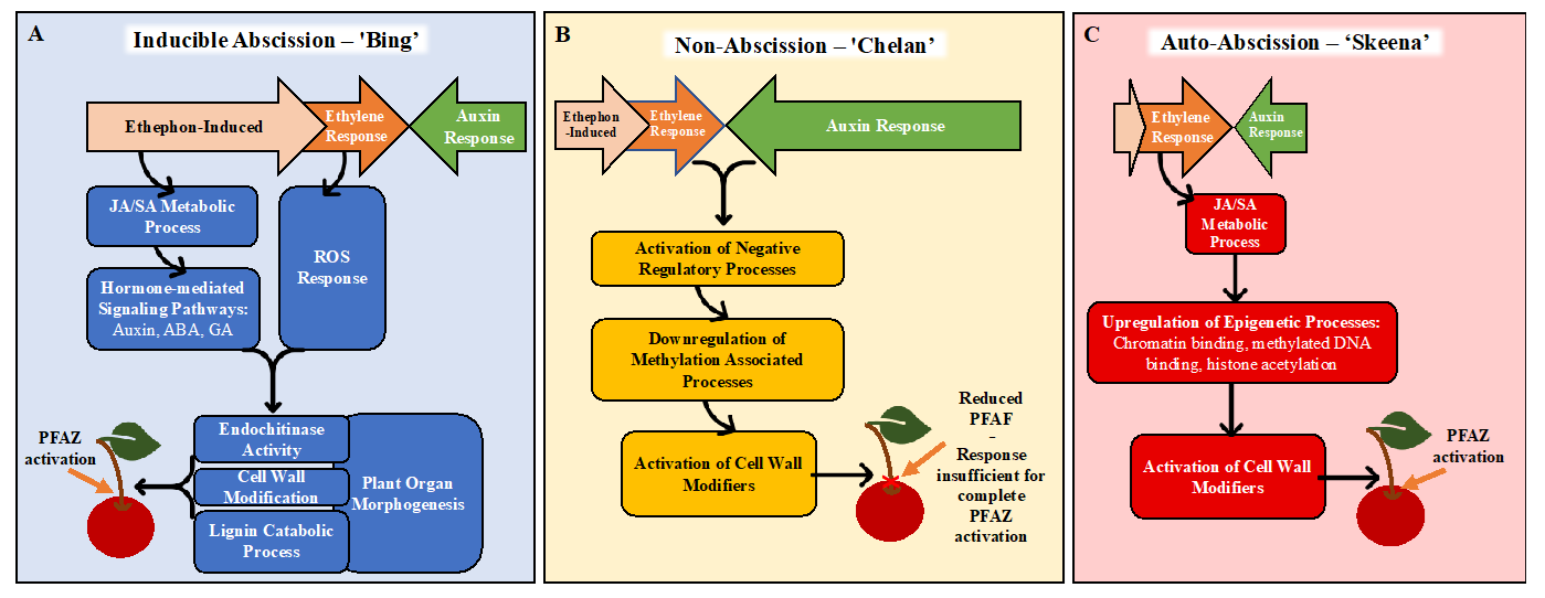 Horticulturae 07 00270 g007