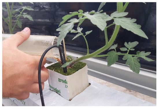 Horticulturae 07 00297 g0a2 550