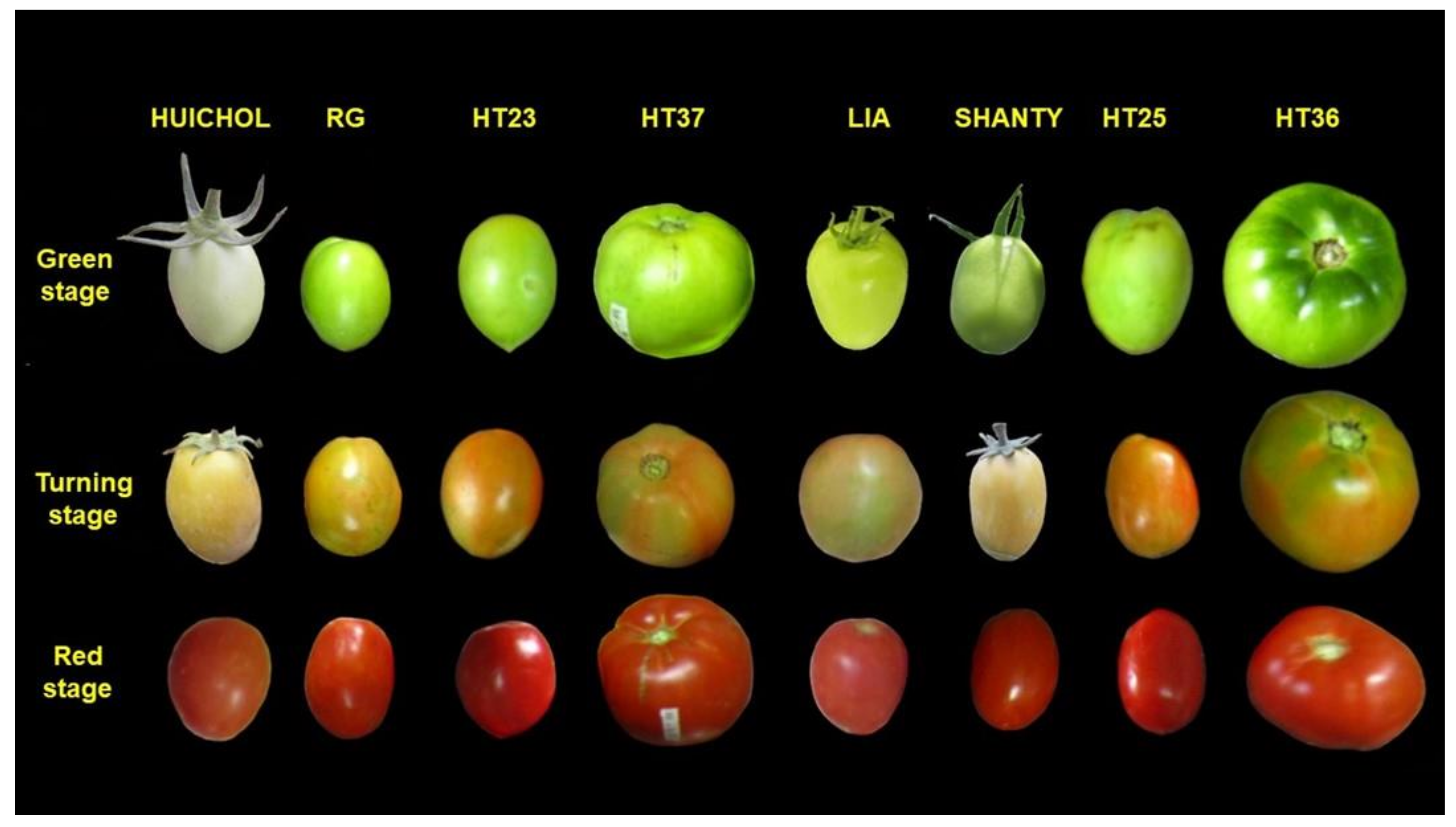 Horticulturae 07 00300 g001