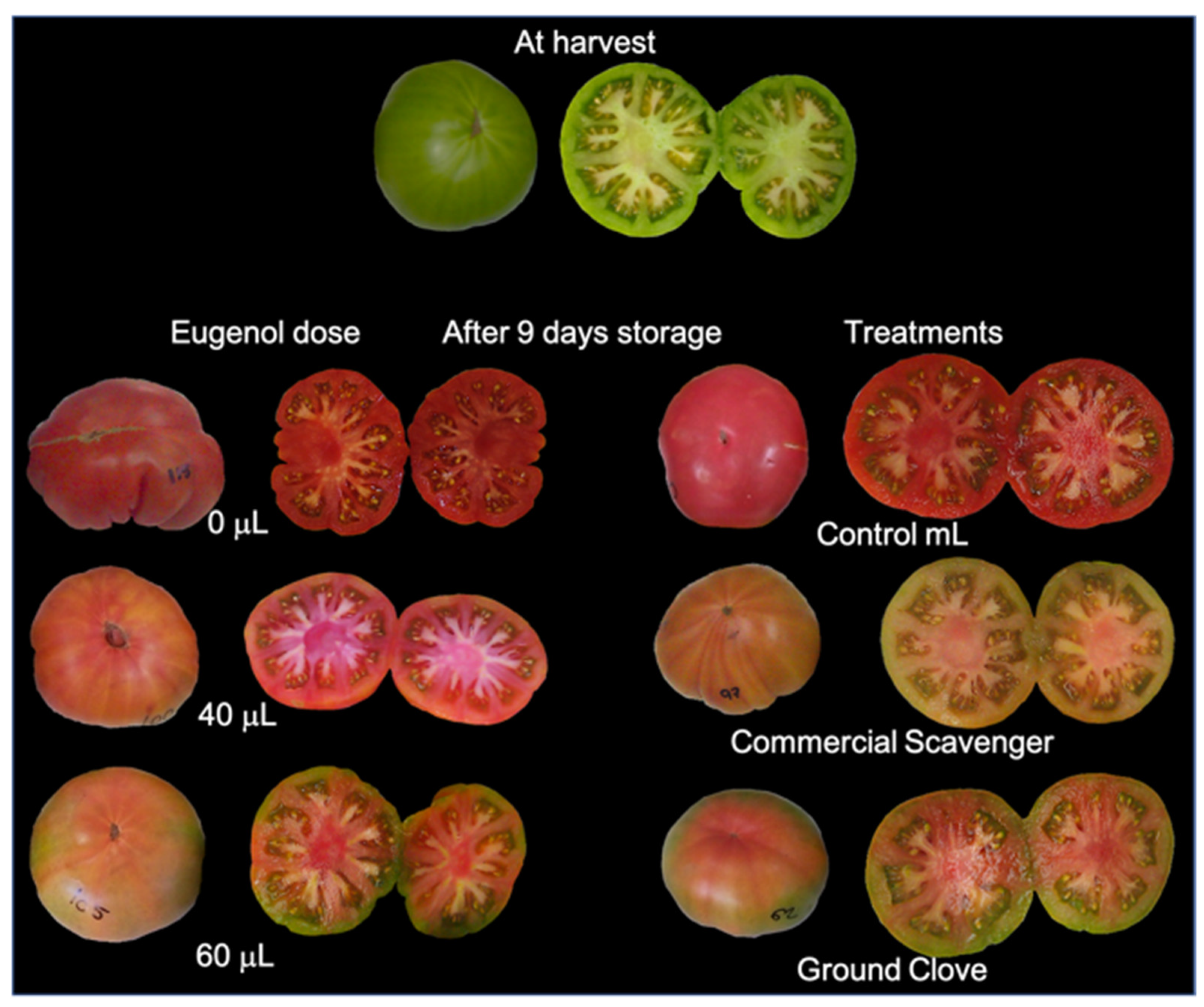 Horticulturae 07 00303 g004