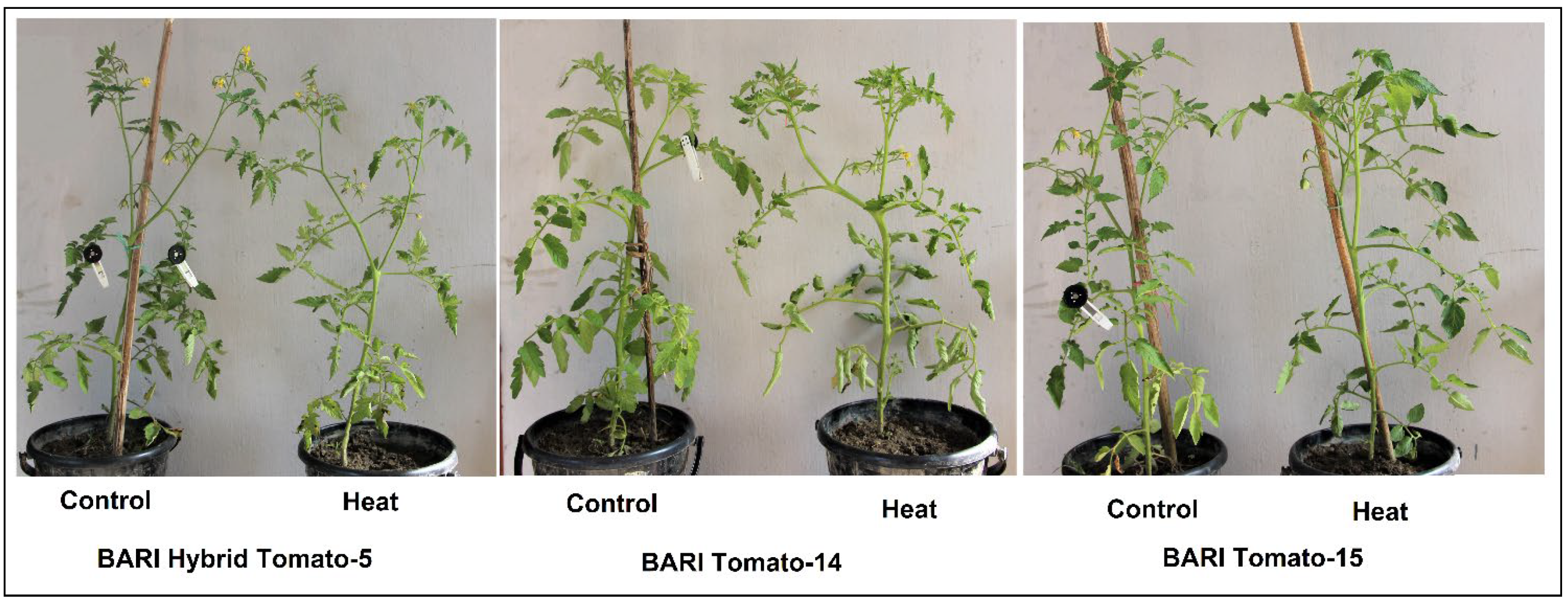 Horticulturae 07 00330 g001