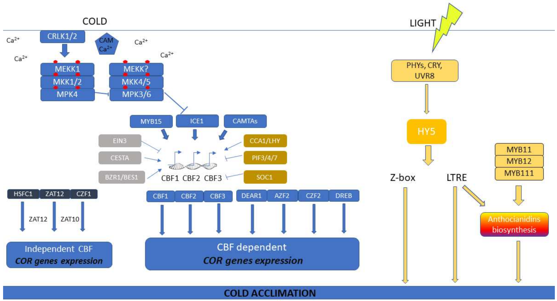 Horticulturae 07 00340 g002