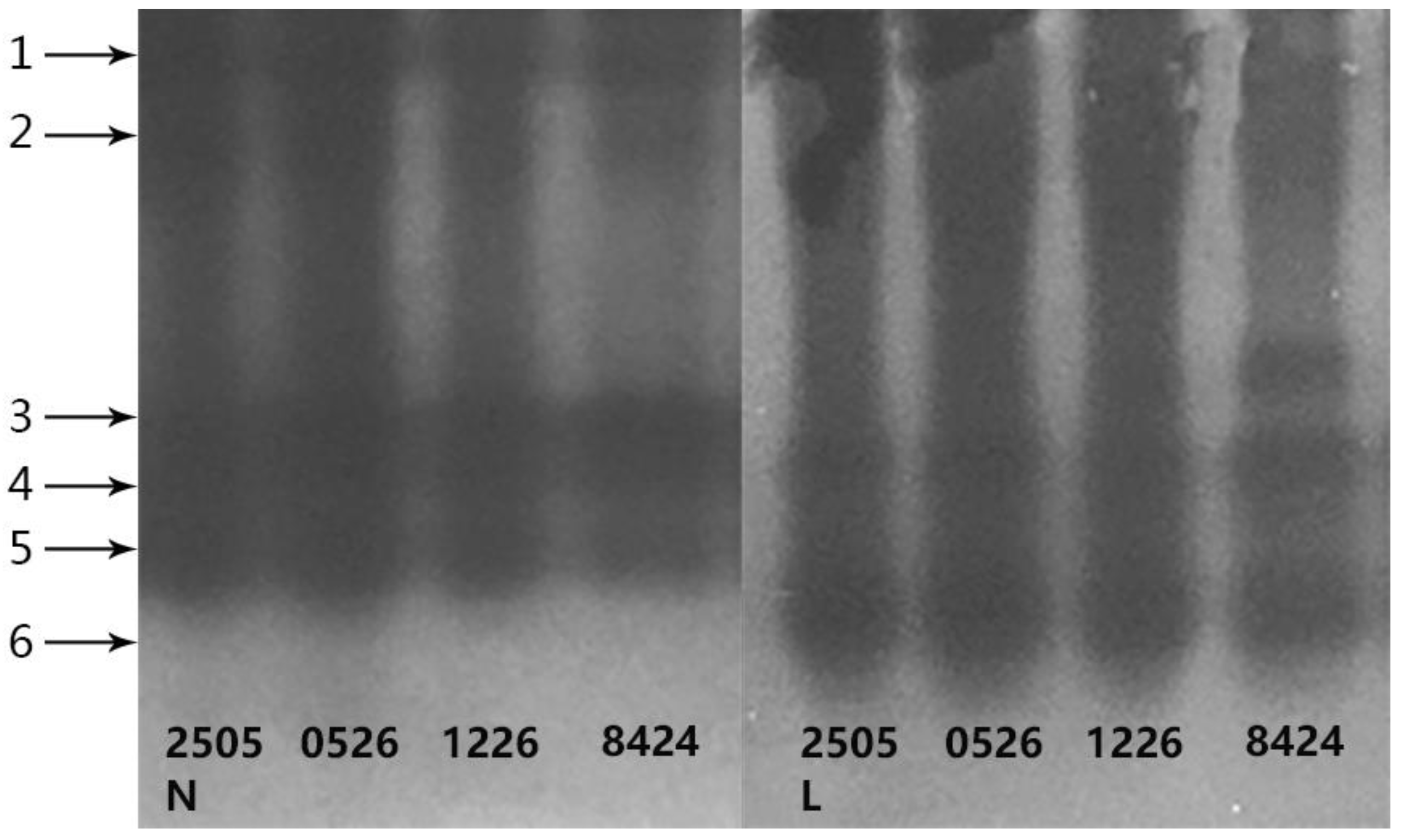 Horticulturae 07 00391 g004 Horticulturae 07 00391 g004